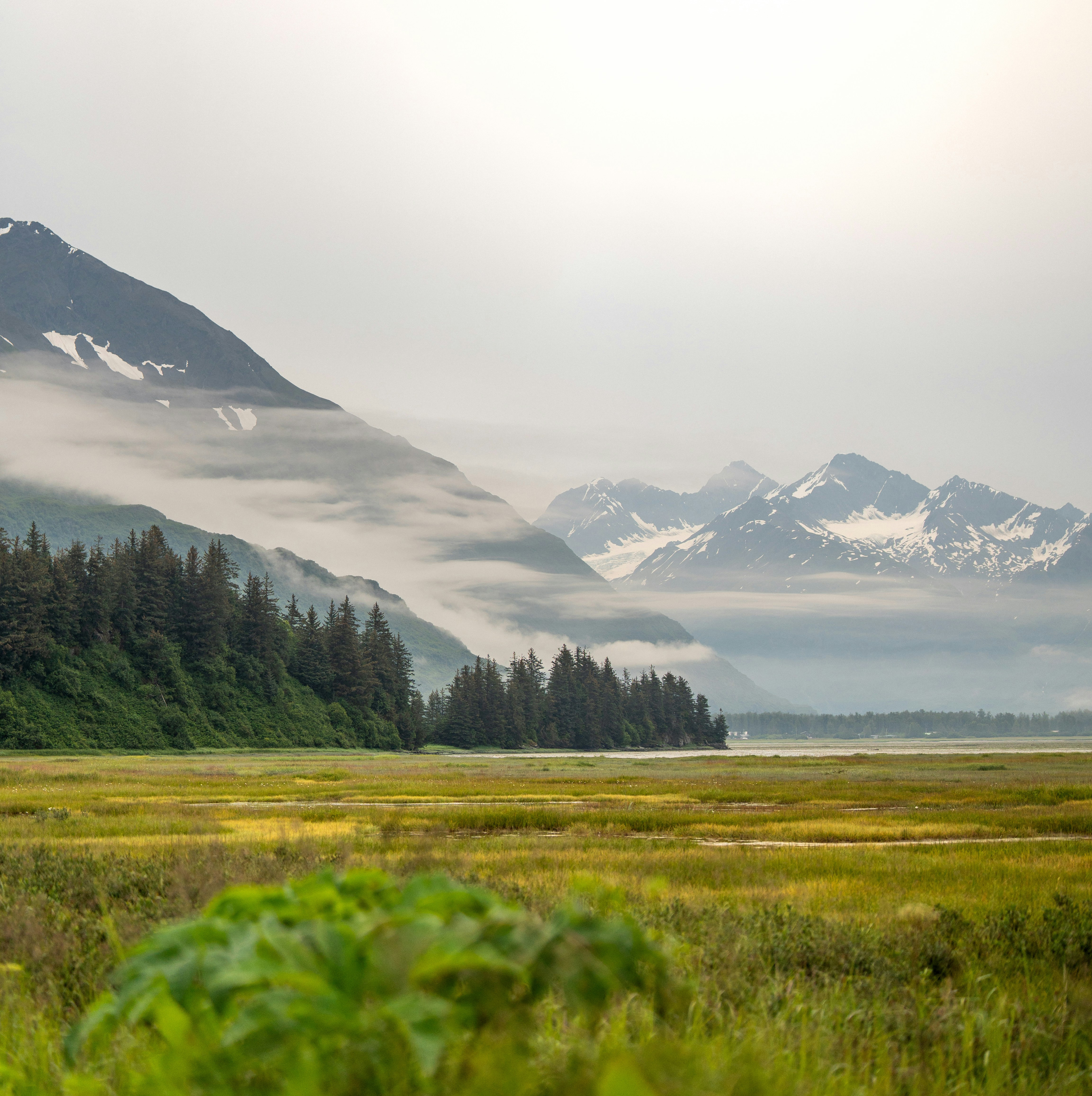 HDAlaskaFeld Berge Nebel