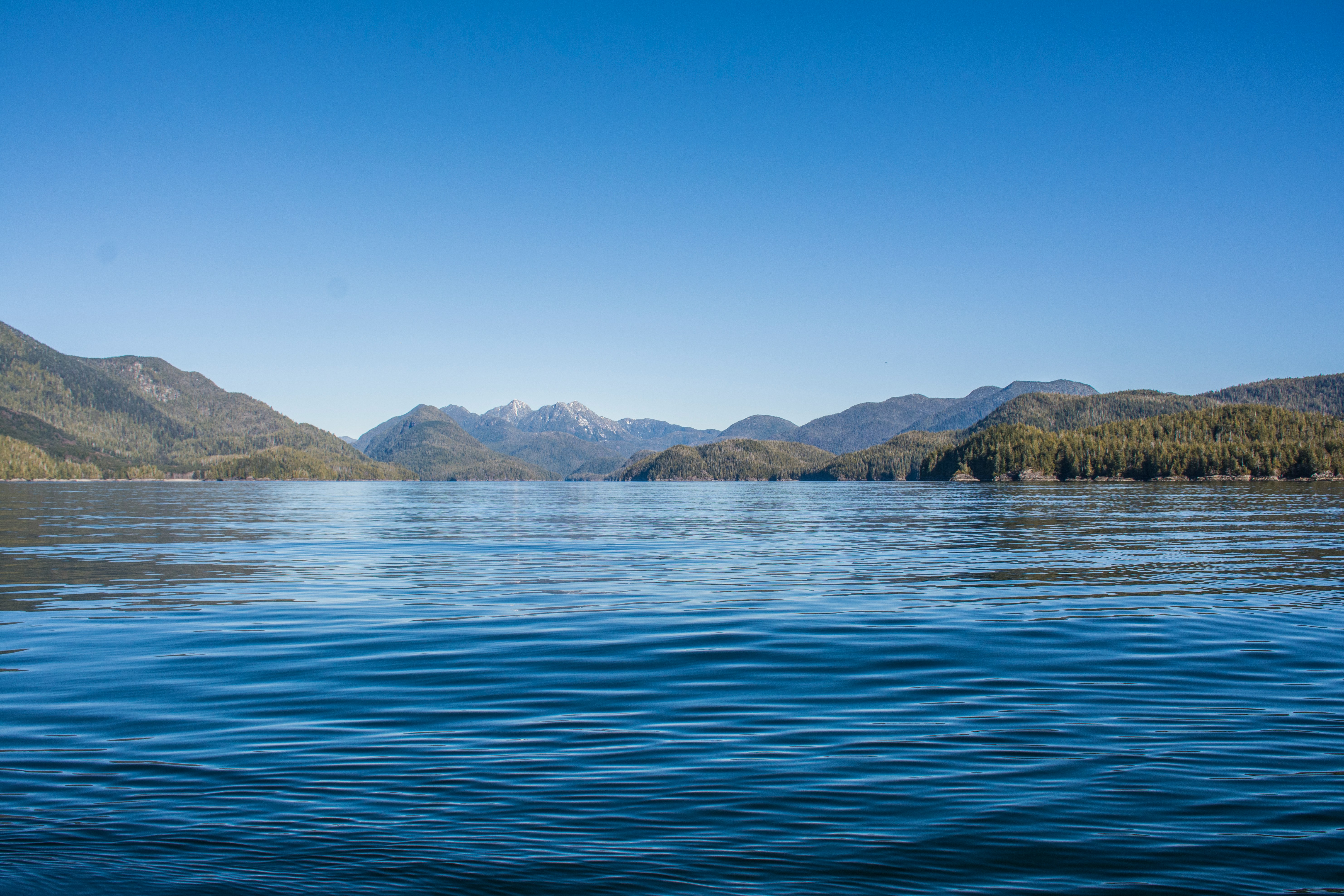 HDBritish ColumbiaTofinoSee berge