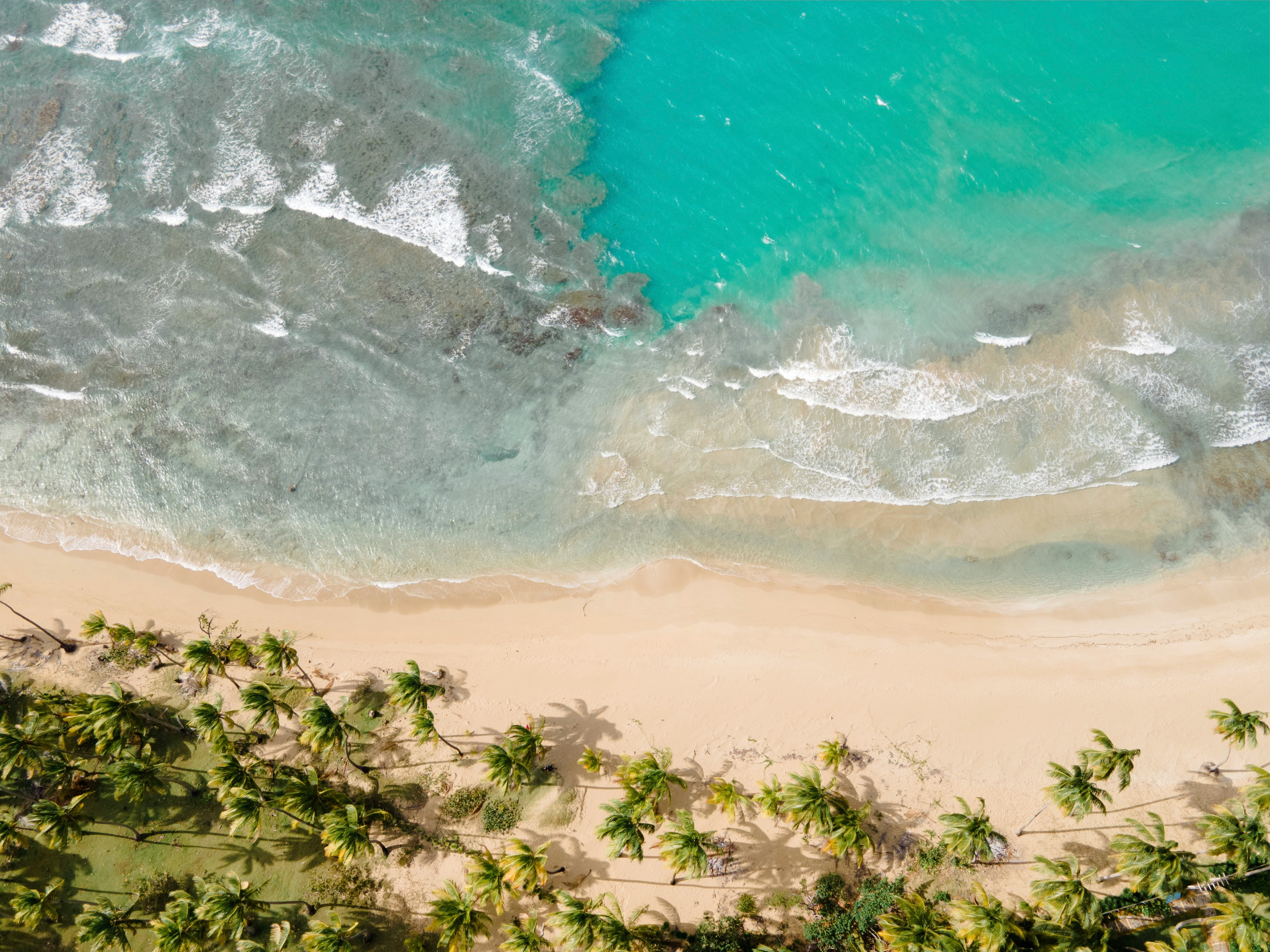 Profitcenter BilderAuto Florida + Bahamas