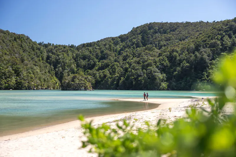 NeuseelandAbel Tasman National ParkWald am Strand Photocredit 100 Pure New Ze