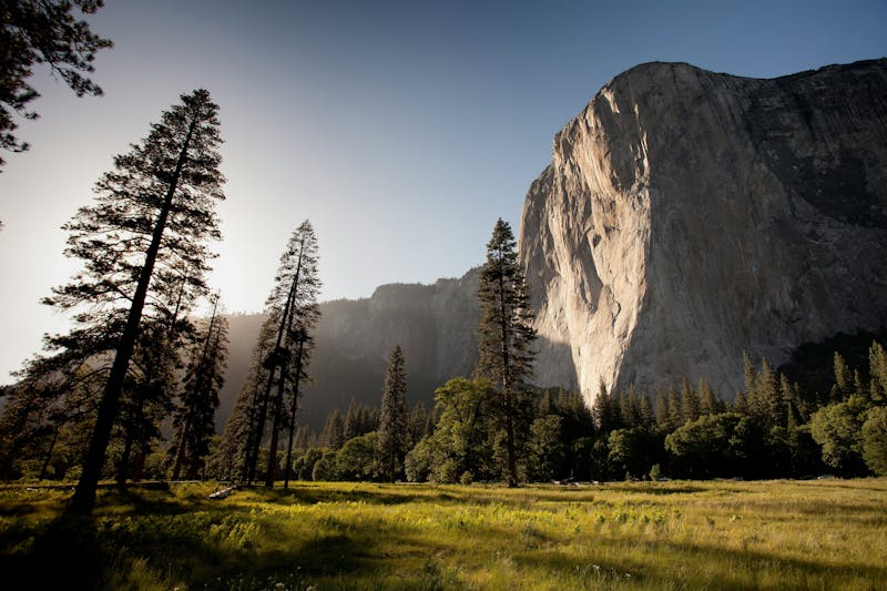 HDCaliforniaYosemiteBaume und Berg