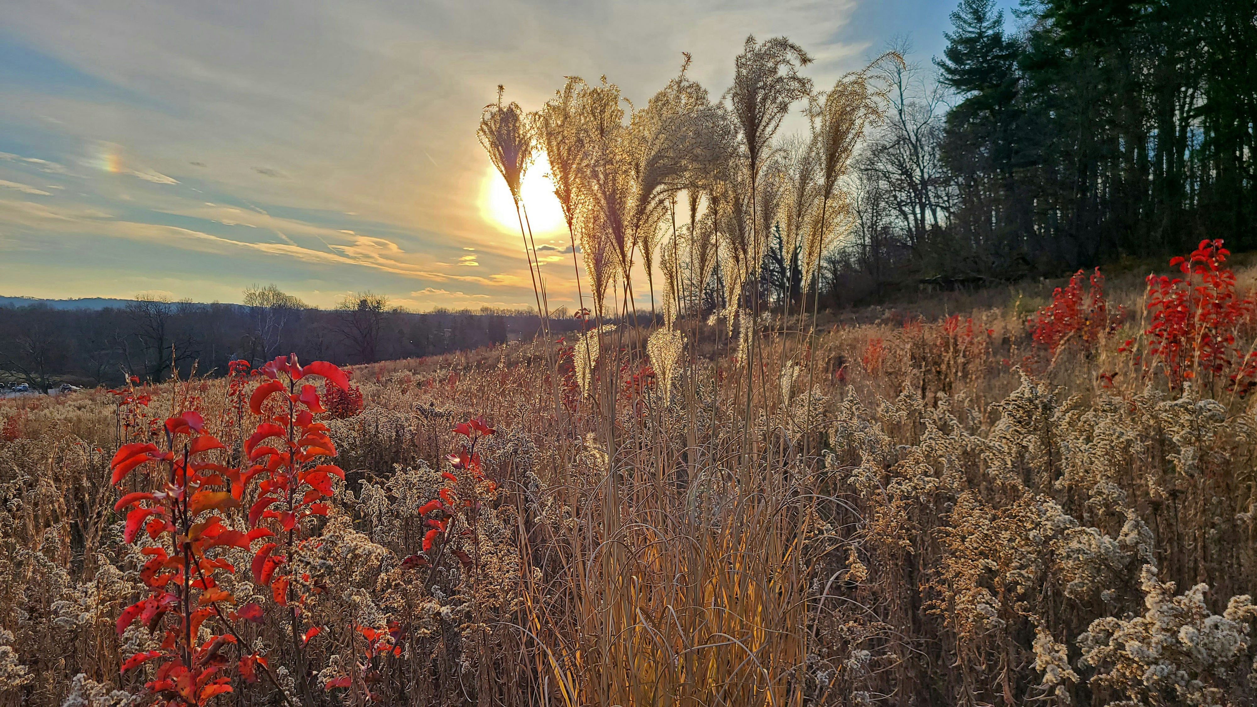HDPennsylvaniaKing of PrussiaValley Forge