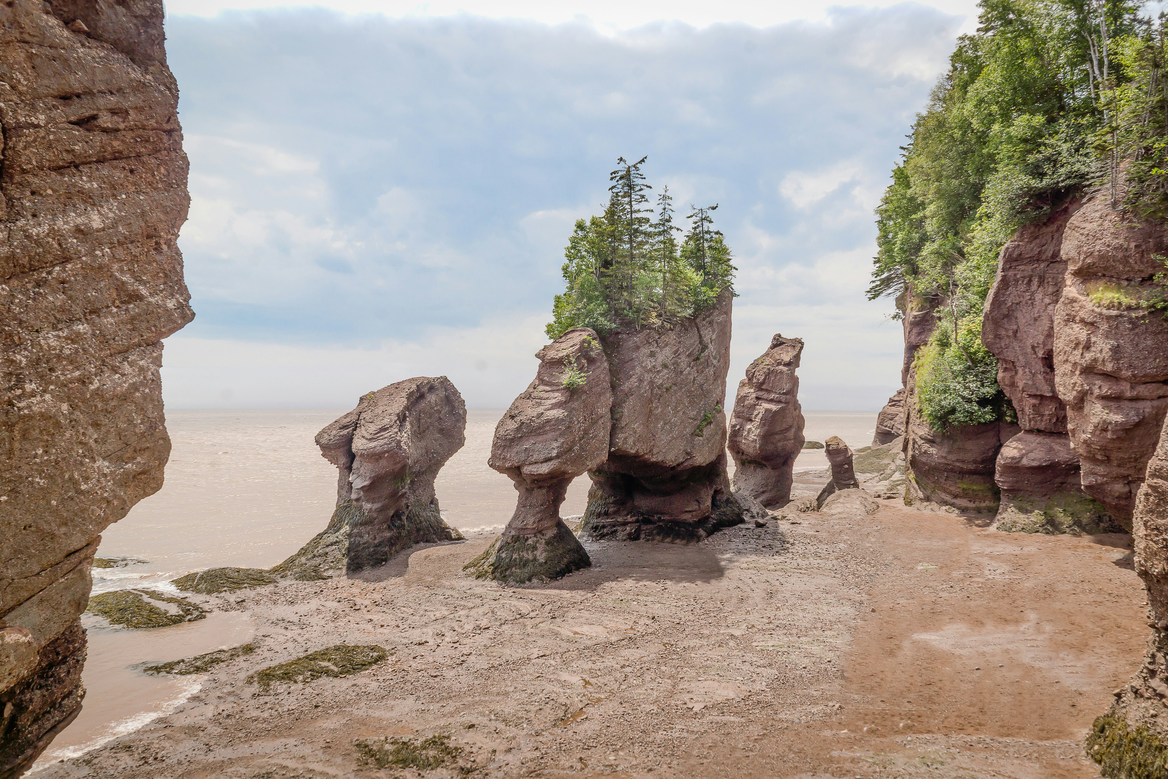 HDNew BrunswickHopewell rocks