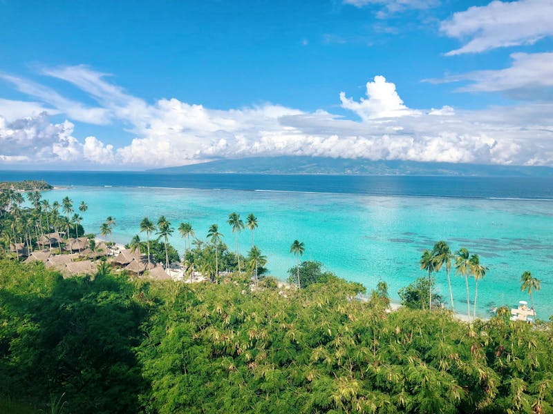 HDfranzoesisch polynesienMooreaPalmen Strand Meer