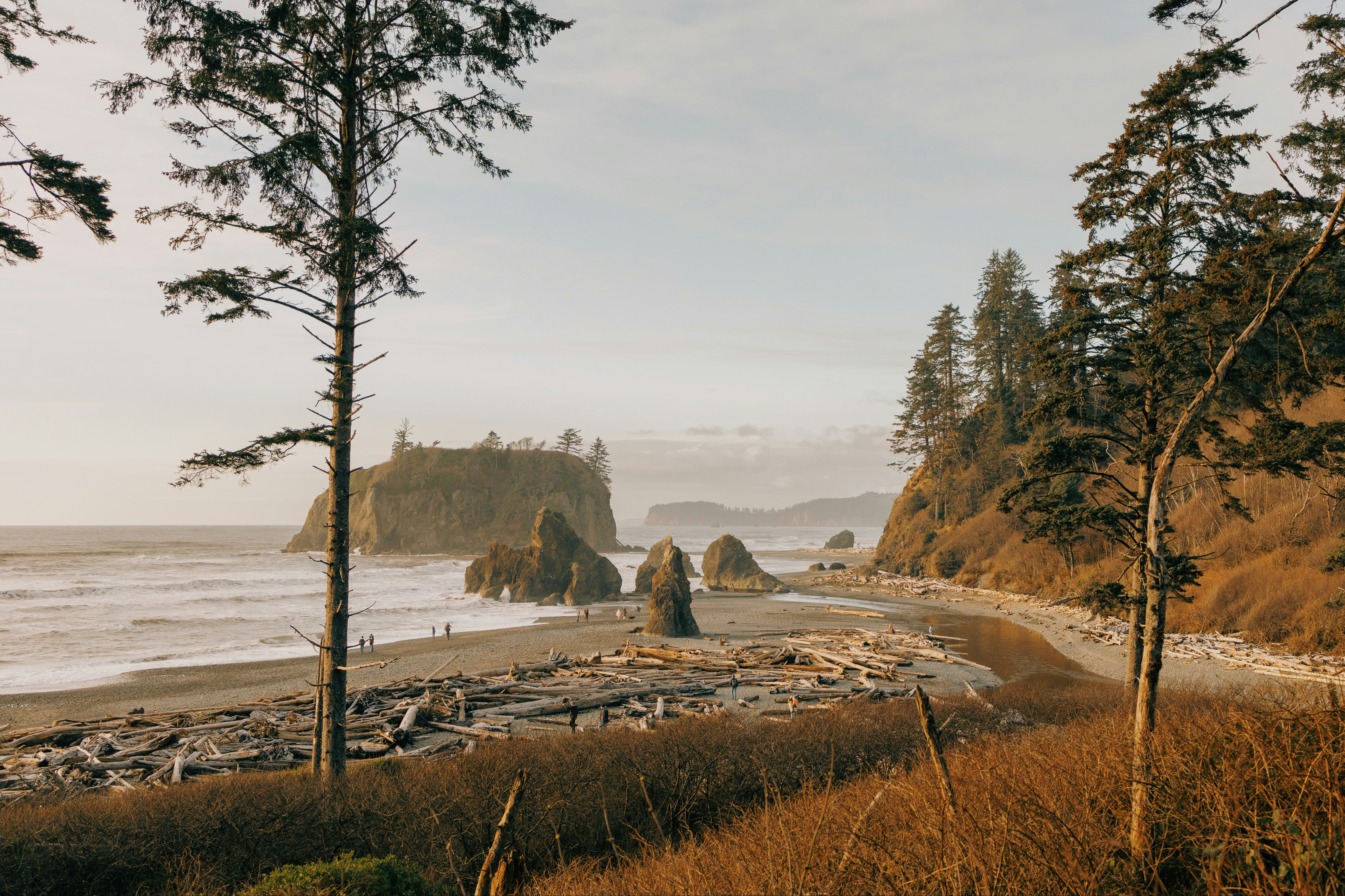 HDWashingtonRuby Beach