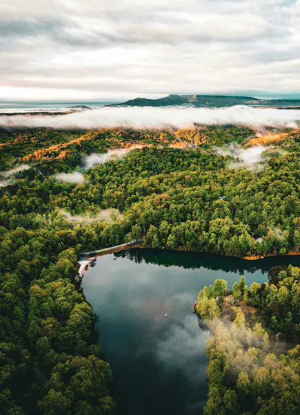 HDNorth CarolinaAshevilleWald