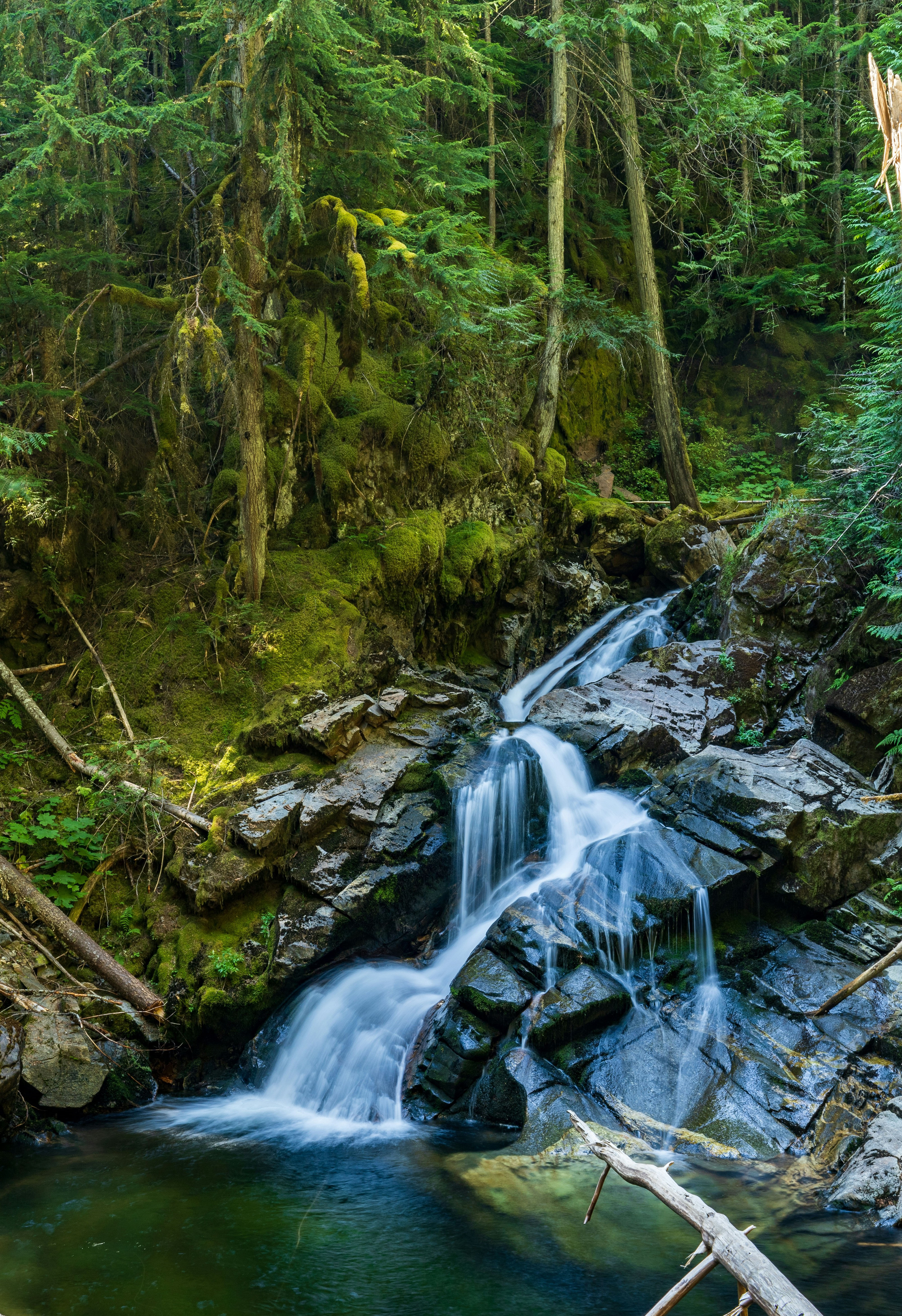 HDIdahoCoeur DAleneWasserflass