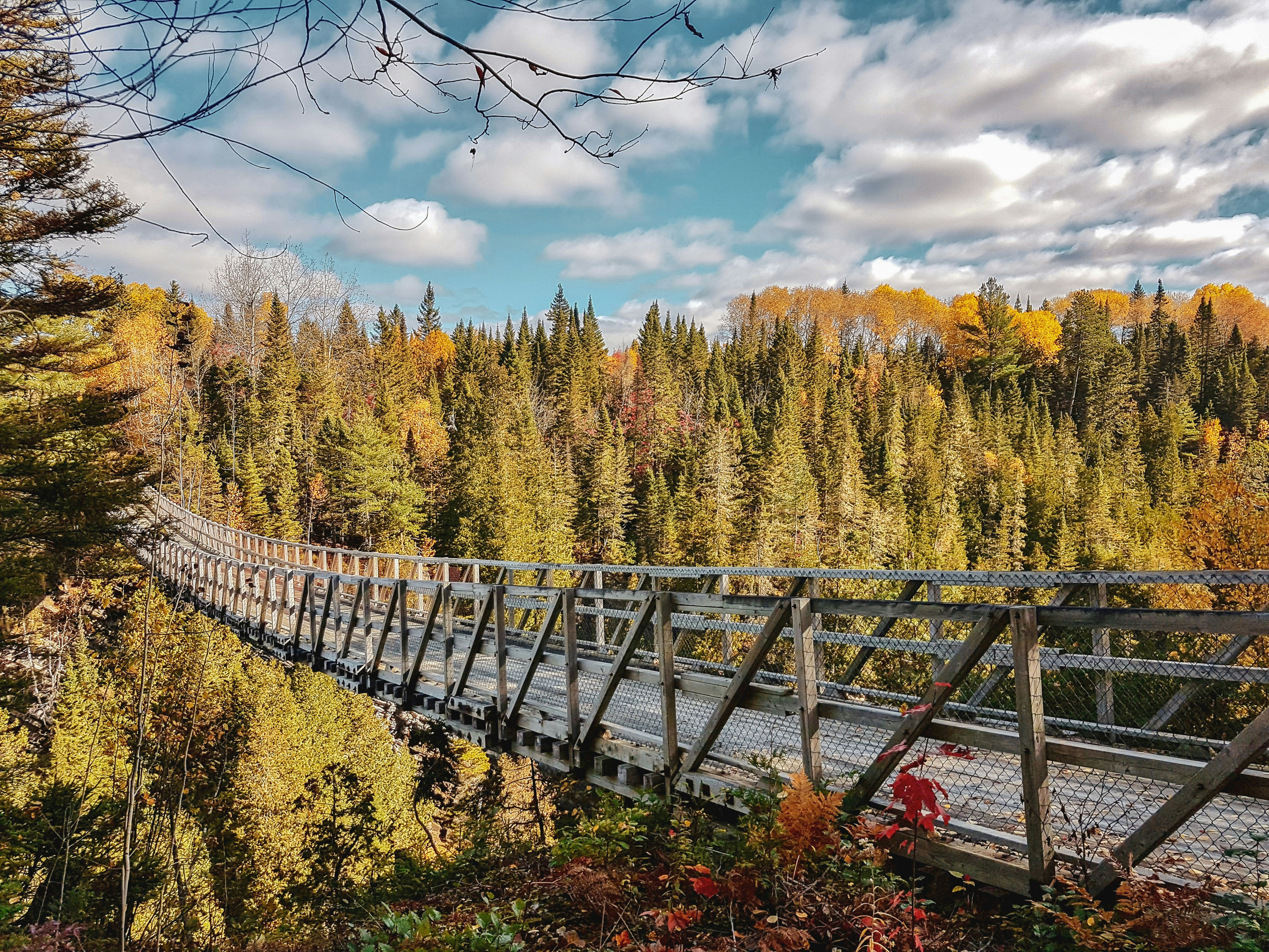 HDQuebecRimouskiBridge