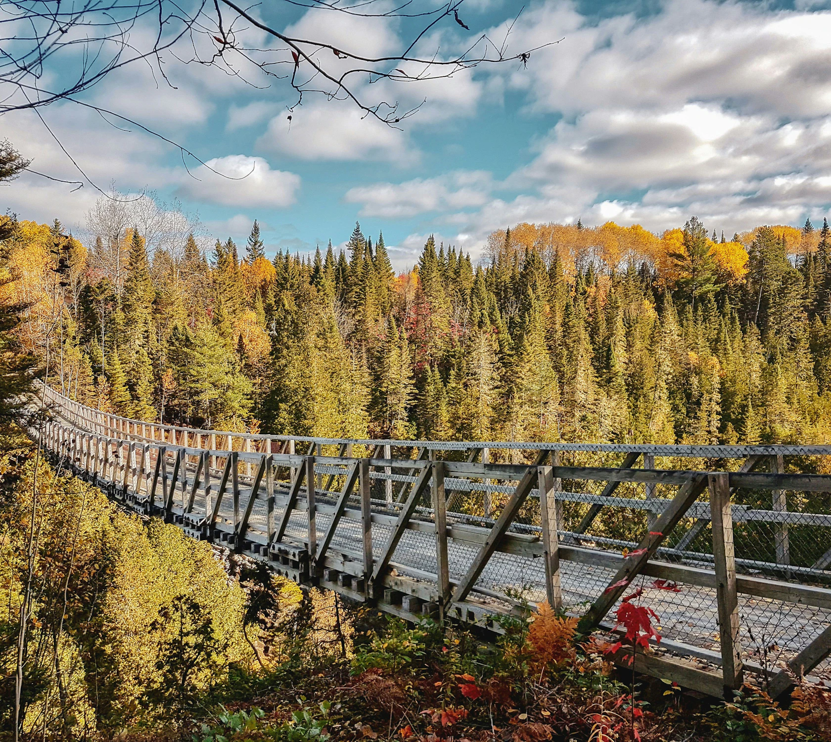 HDQuebecRimouskiBridge