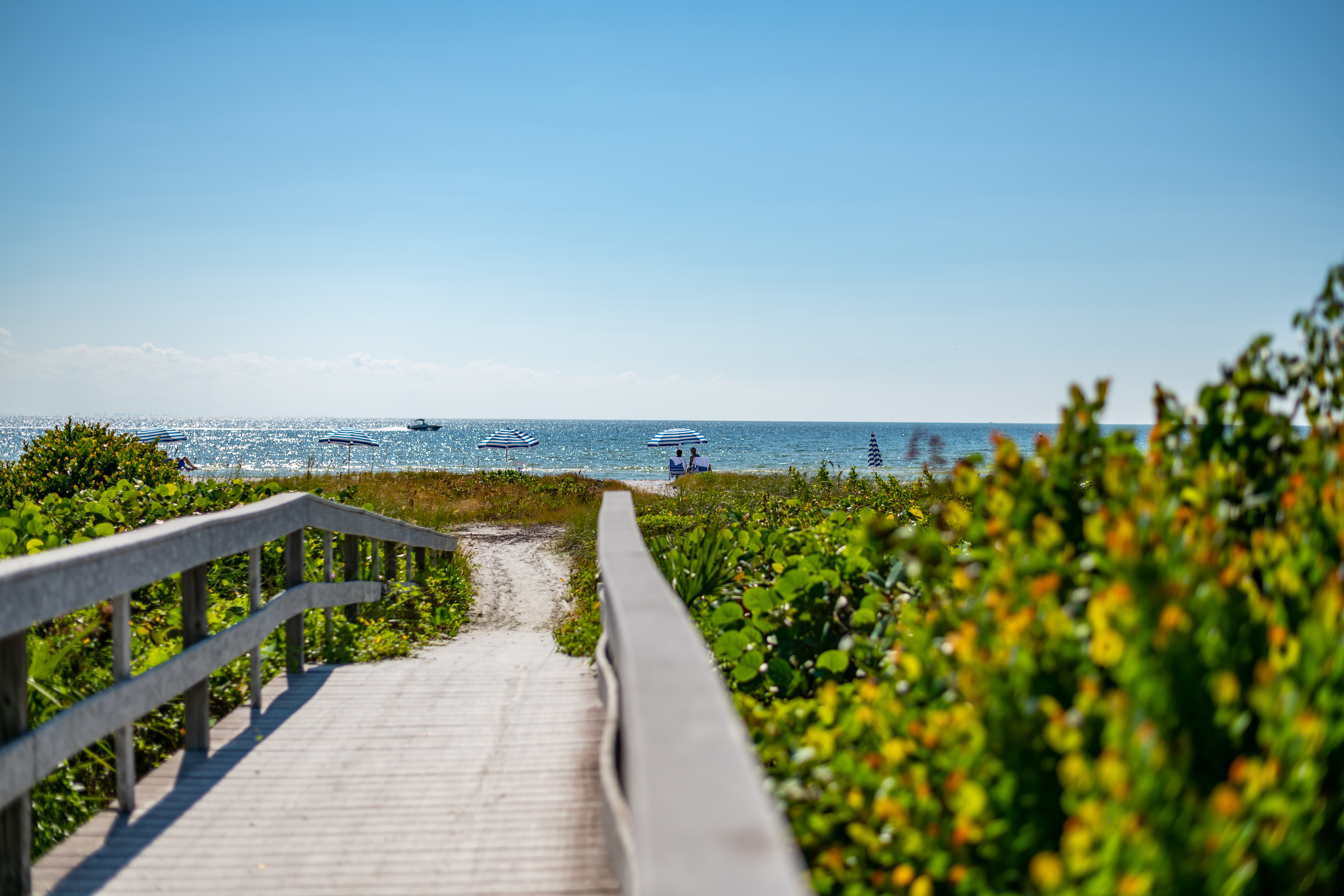 HDFloridaFort MyersSnider