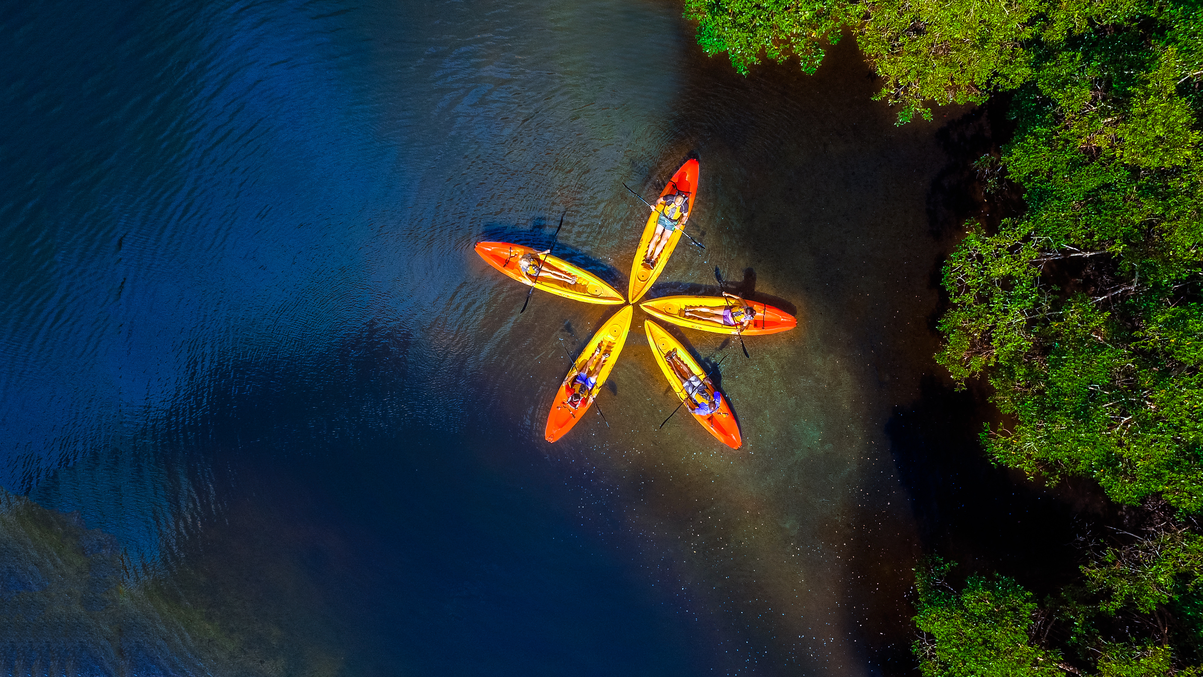 HDFloridaFort Myers Kayaking the Mangroves