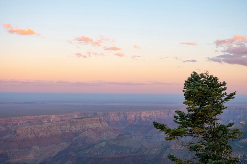 HDArizonaGrand CanyonBaum