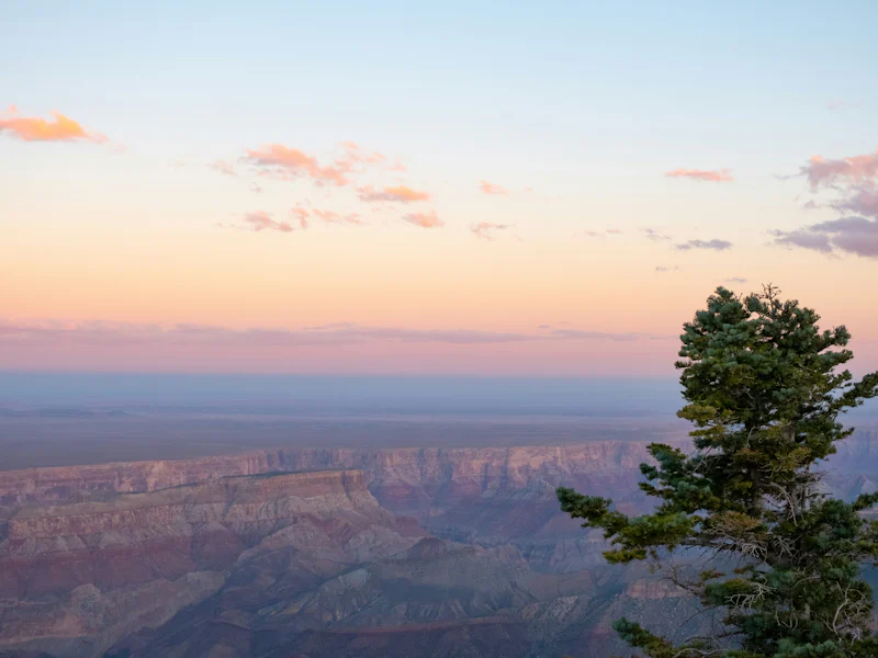 HDArizonaGrand CanyonBaum