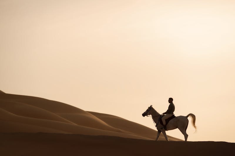 HDHotelAbu DhabiQasr Al SarabActivities Horse Riding