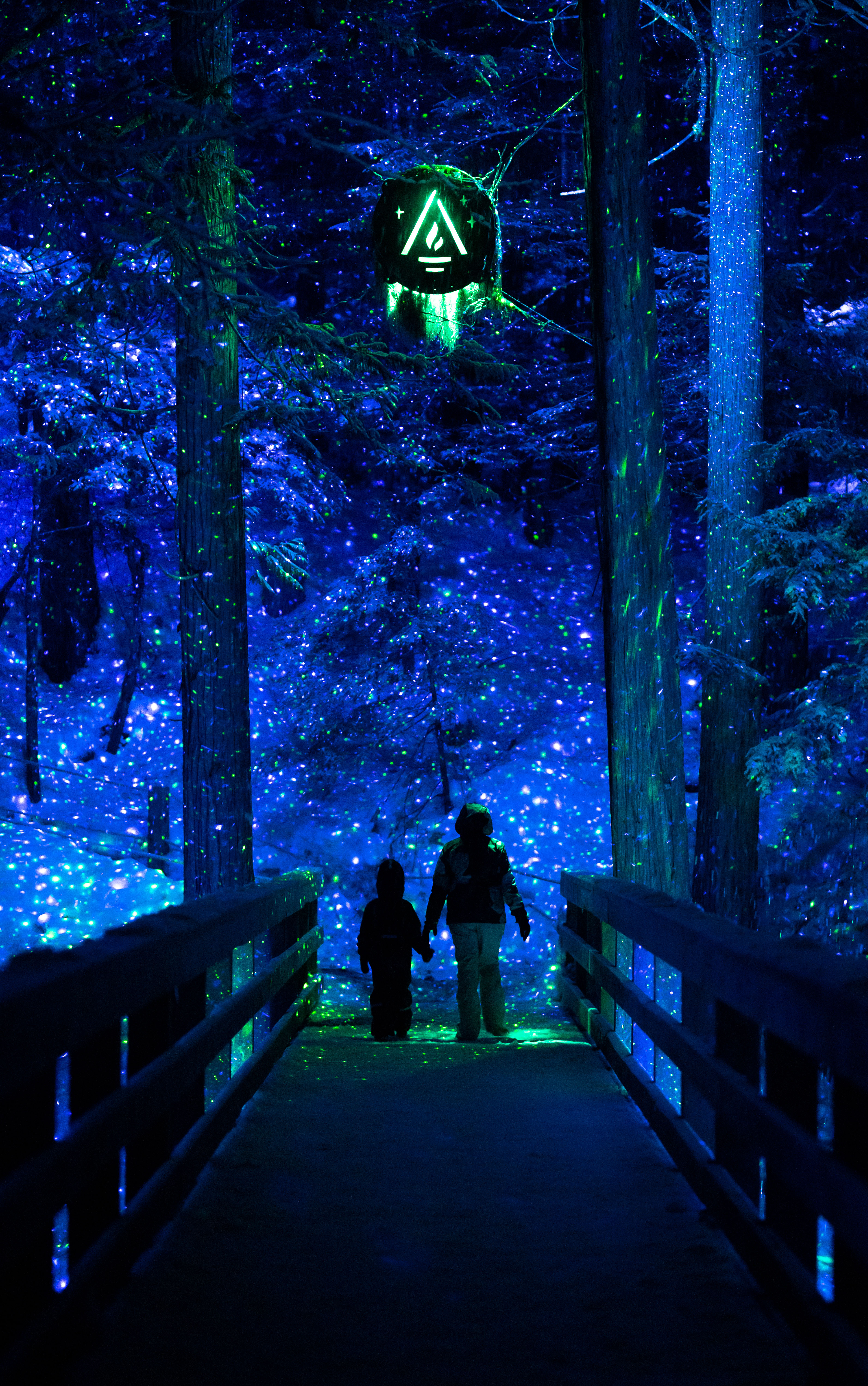 HDSkiWhistlerWhistler bei Nacht Credit Moment Factory Vallea Lumina