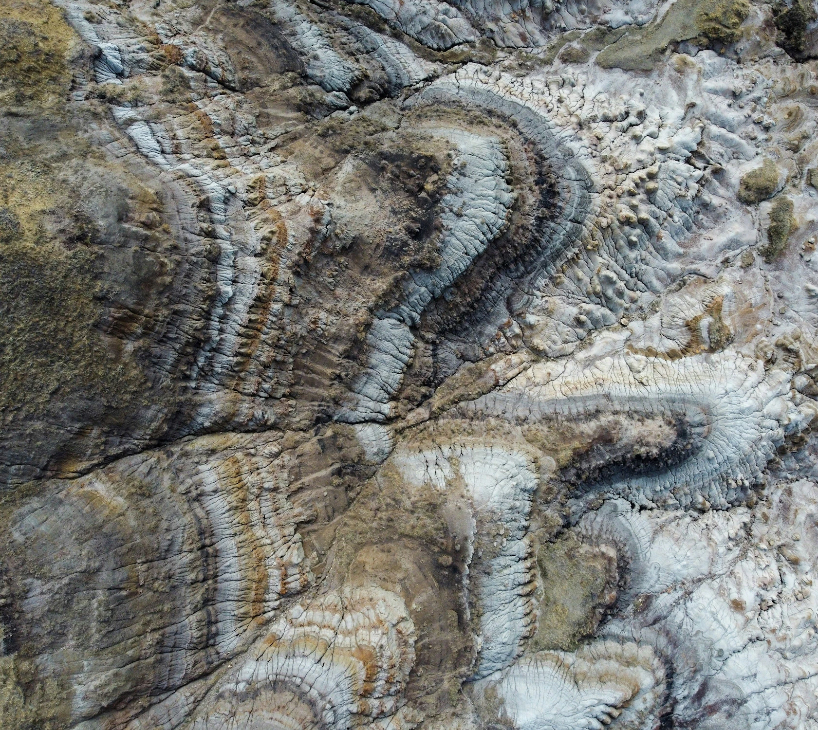 HDAlbertaDrumhellerAnsicht