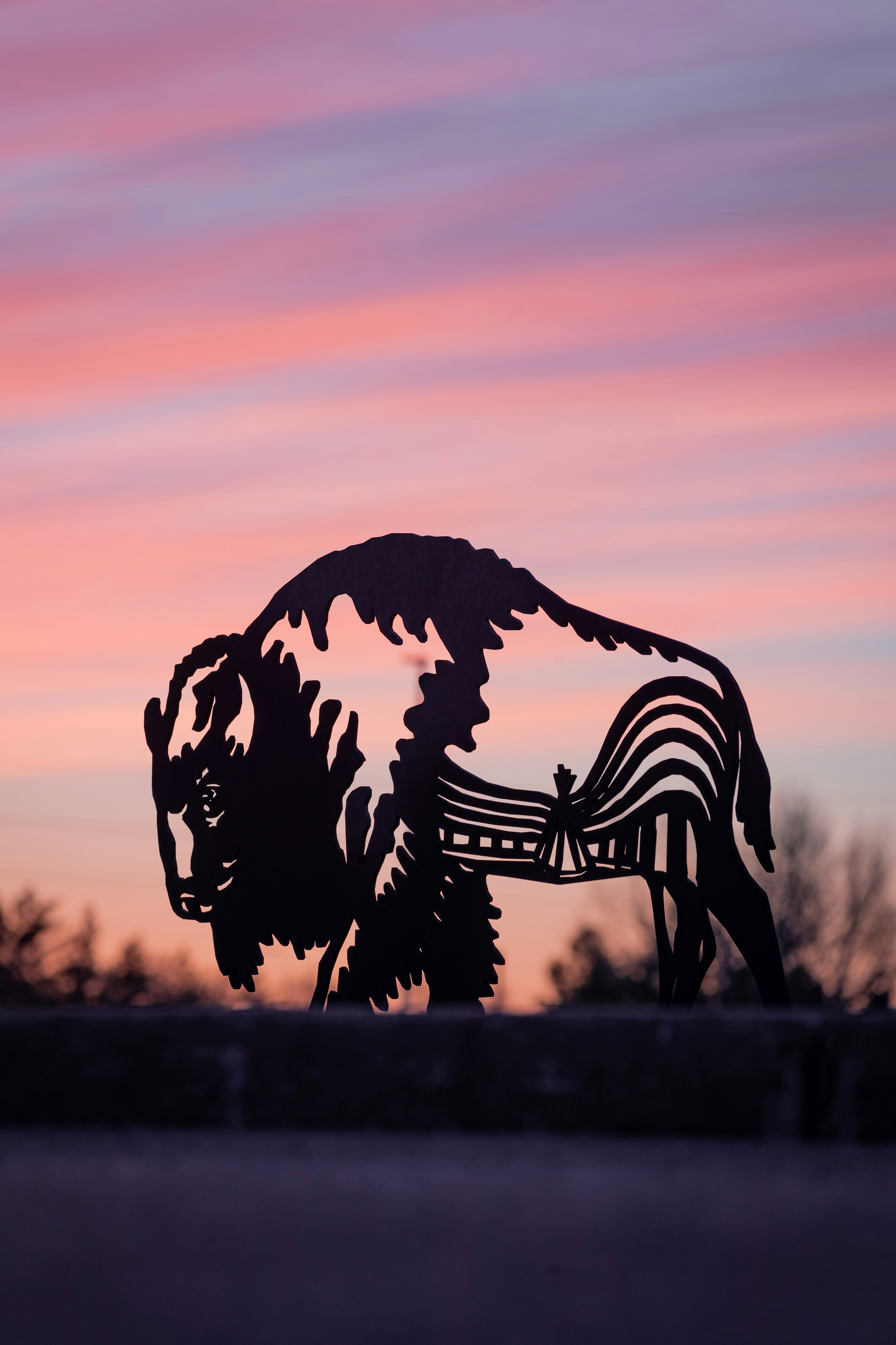 HDSaskatchewanReginaBison