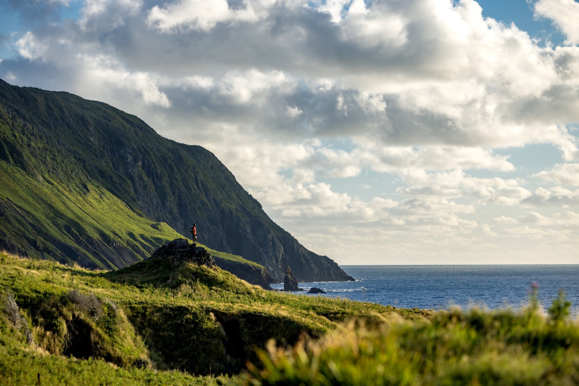 HDNewfoundland and LabradorGreen Gardens Gros Morne National Park UNESCO World