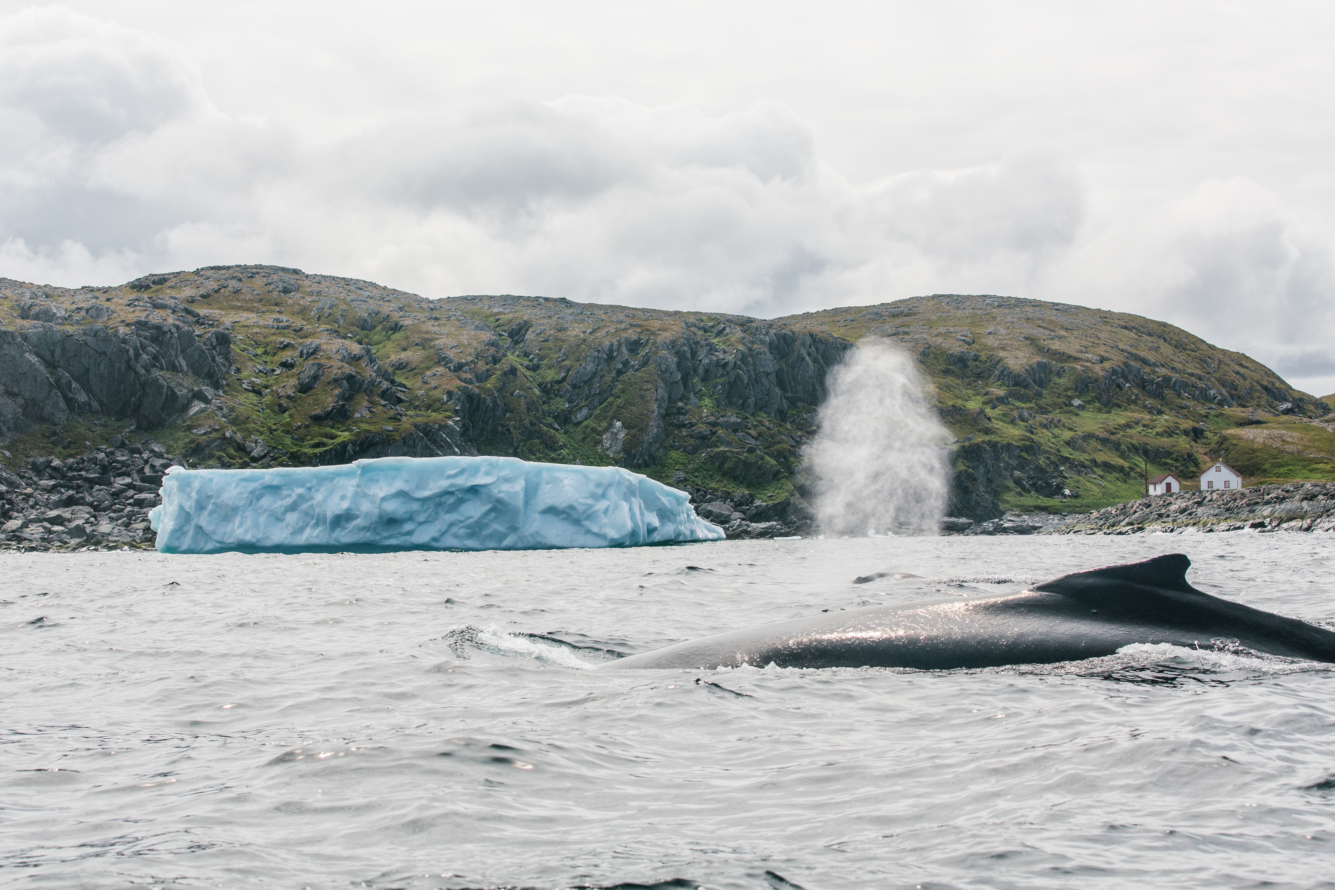 HDNewfoundland and LabradorQuirpon Island
