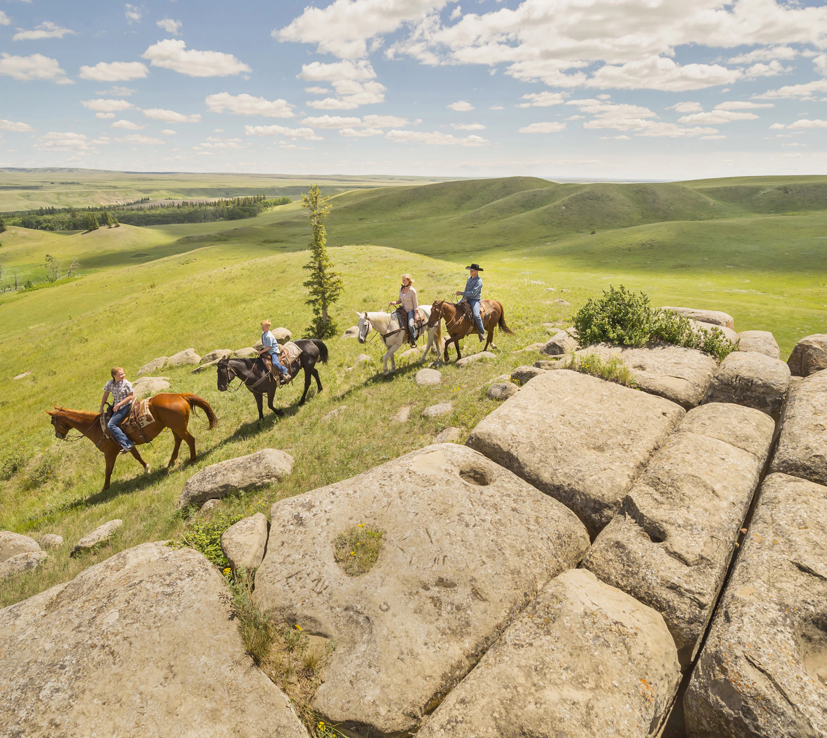 HDSaskatchewanCypress HillsAusritt4