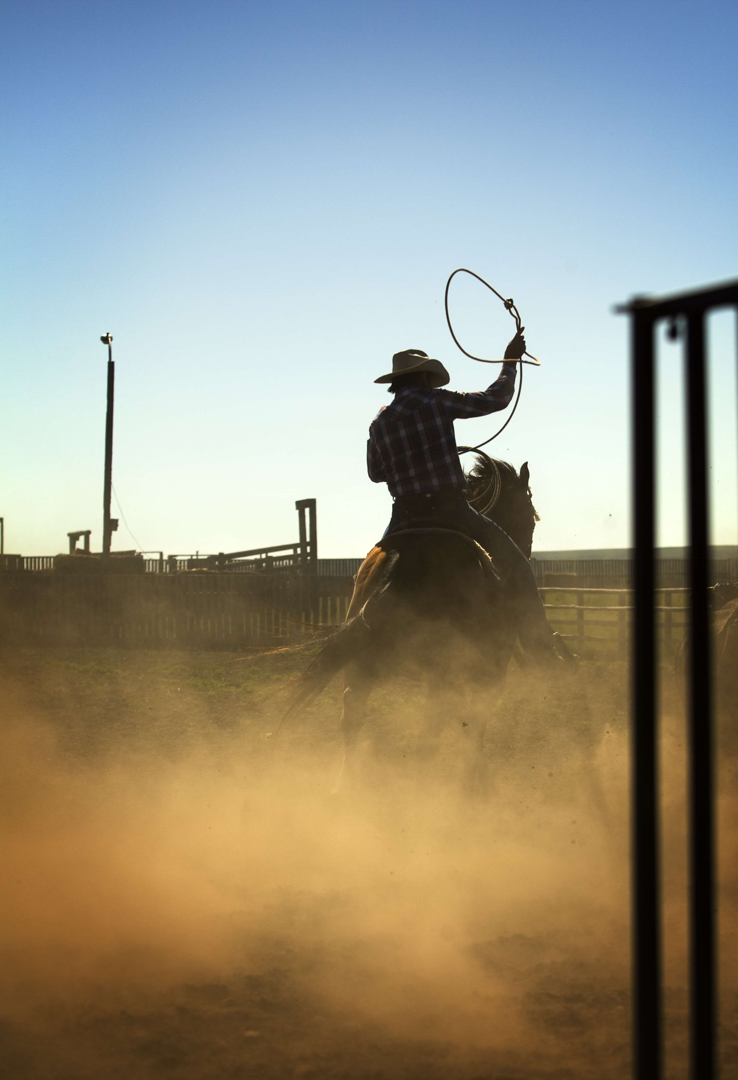 HDSaskatchewanLa Reata RanchLasso2