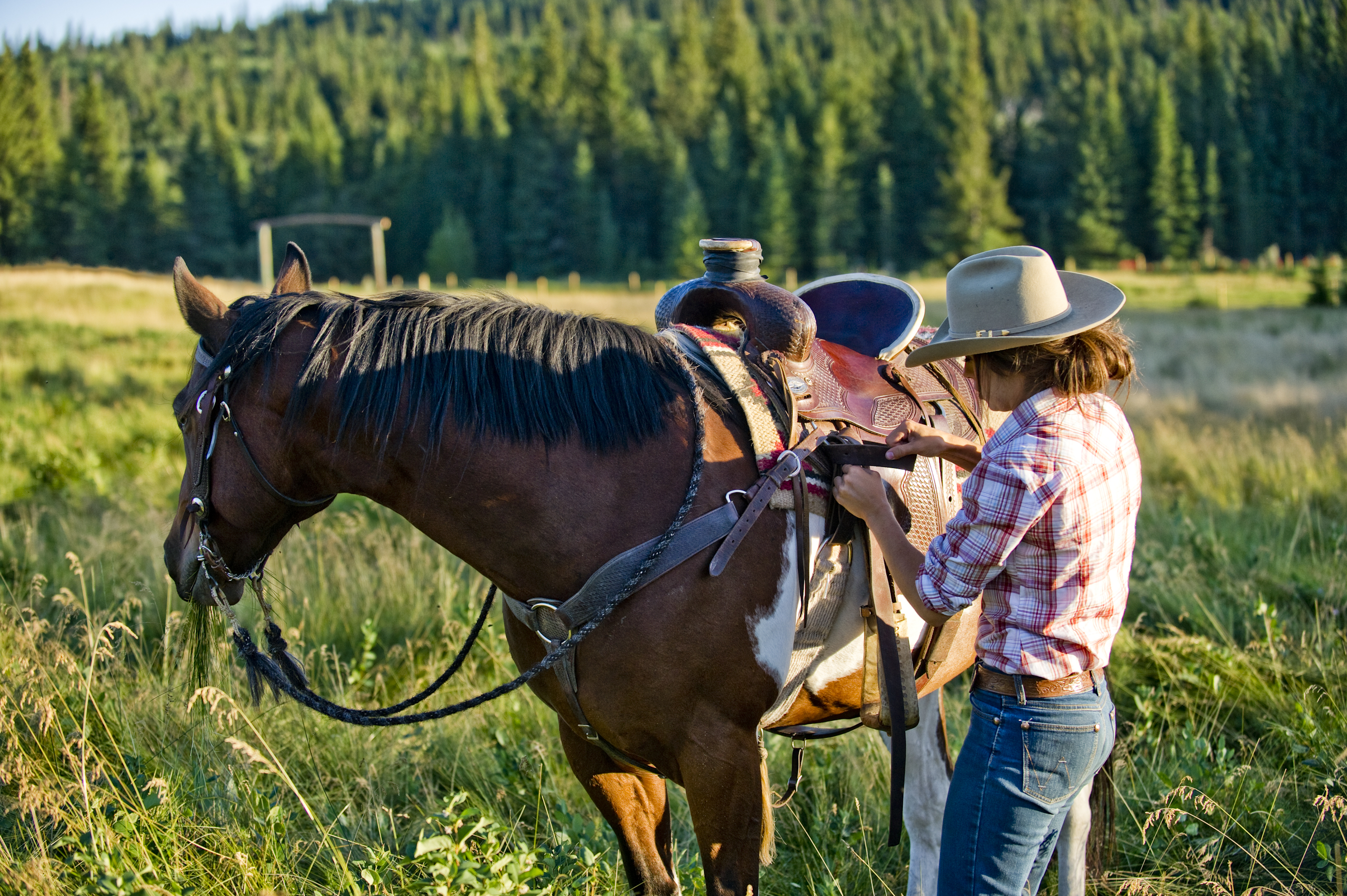 HDSaskatchewanLa Reata RanchReiterin3