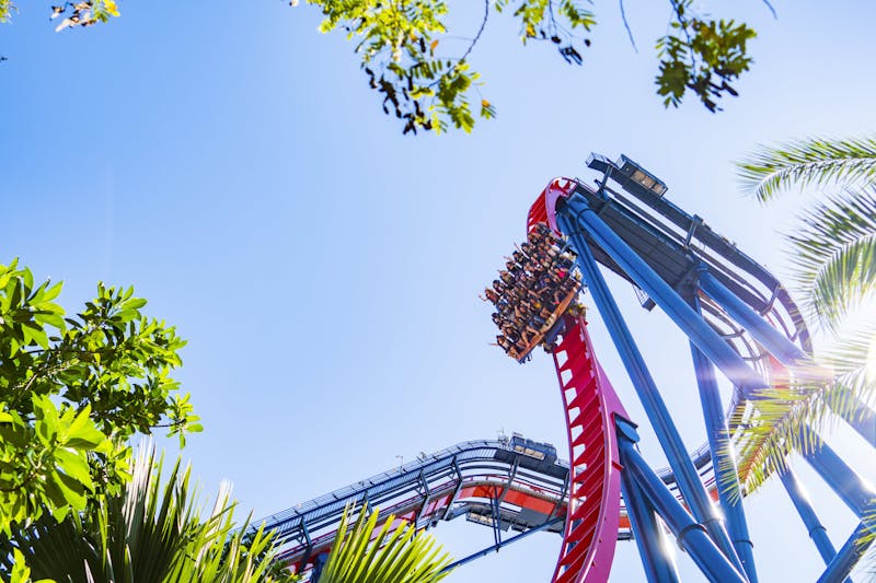 HDFloridaTampaBuschGardens