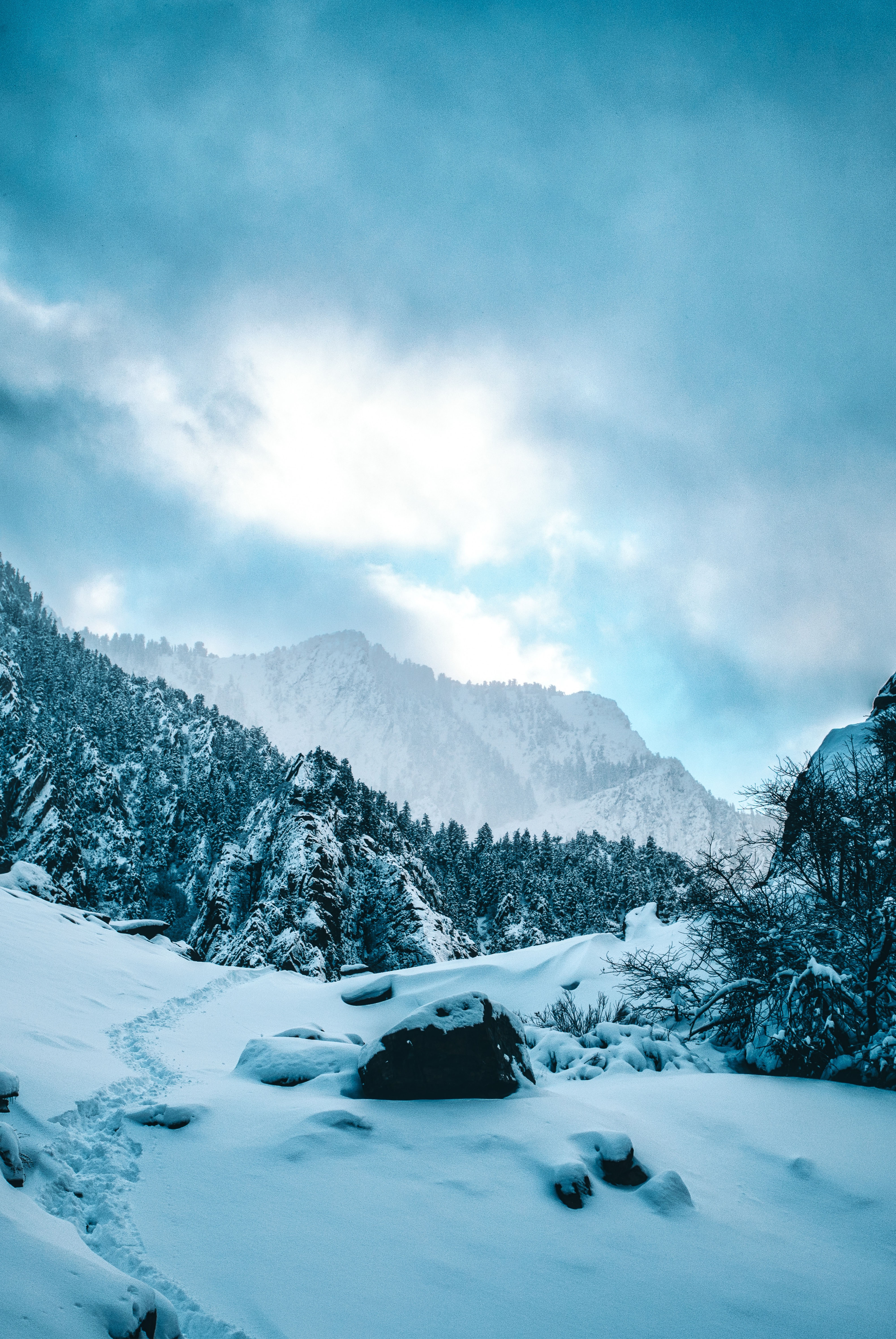 HDUSA SkiCottonwood CanyonsView