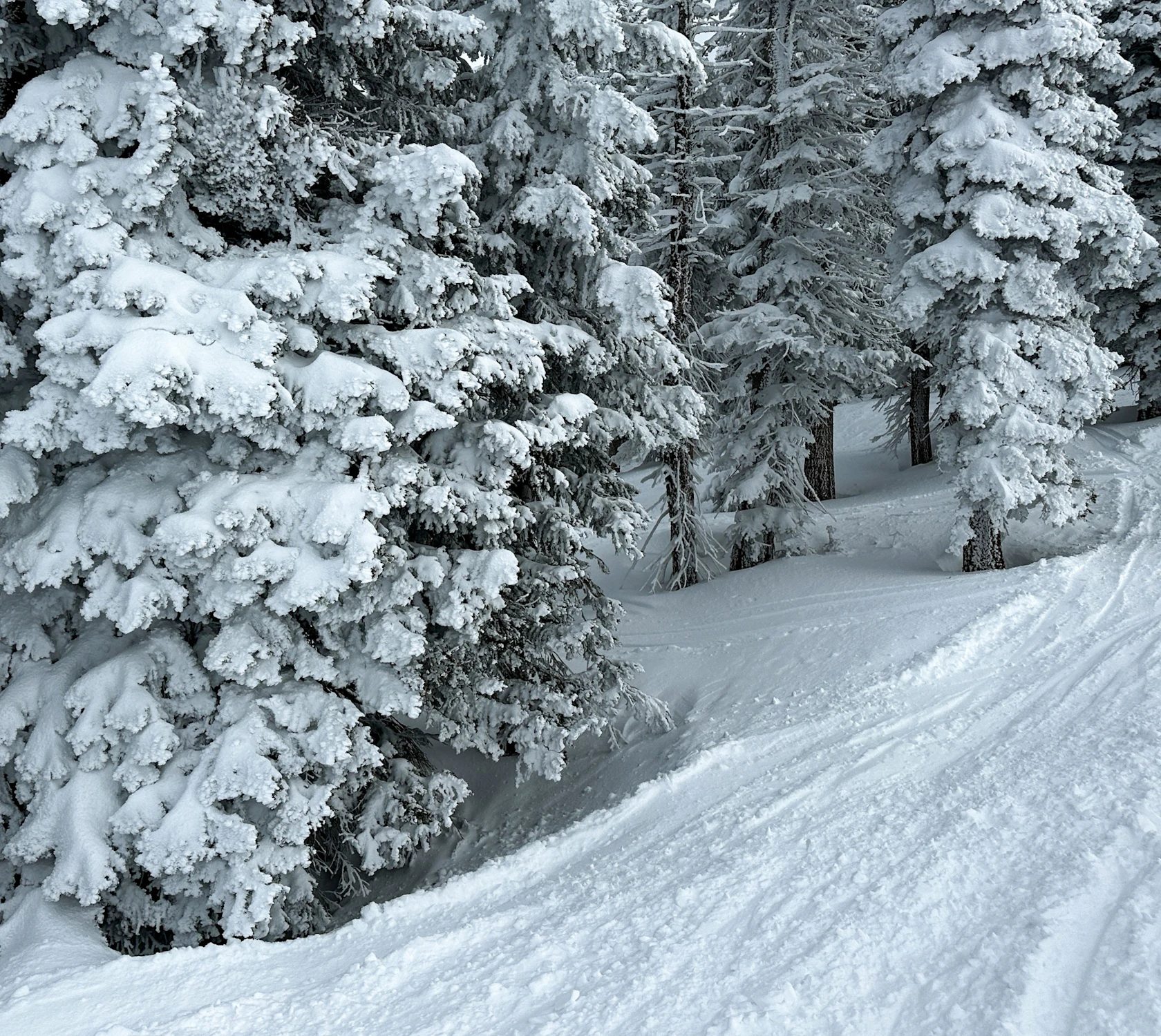 HDUSA SkiSteamboat Springshang