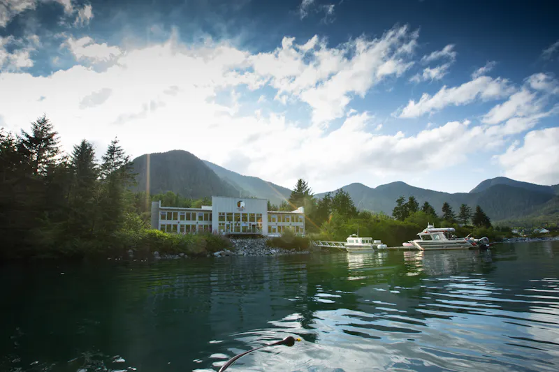 HDBritish ColumbiaSpirit Bear Lodge2I4A1552