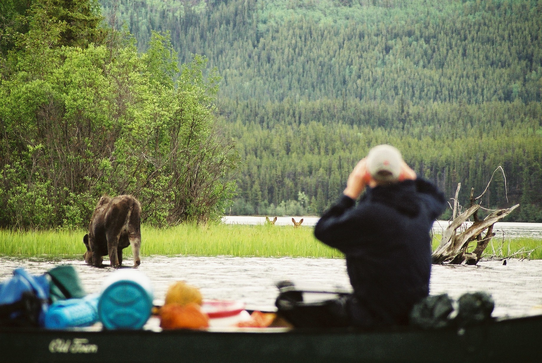 HDYukonRubyRangeMoose Kanu