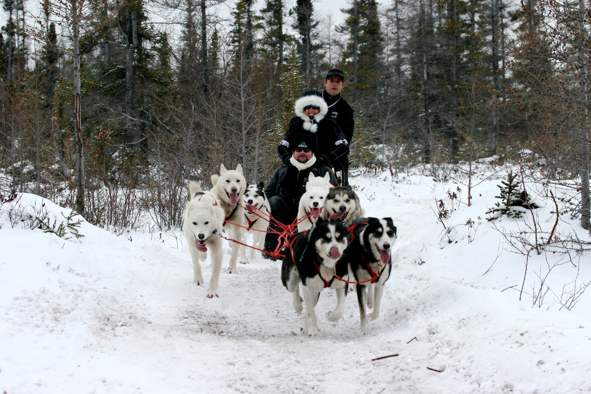 HDManitobaFrontiers NorthClassic PB AdventureDogsledding