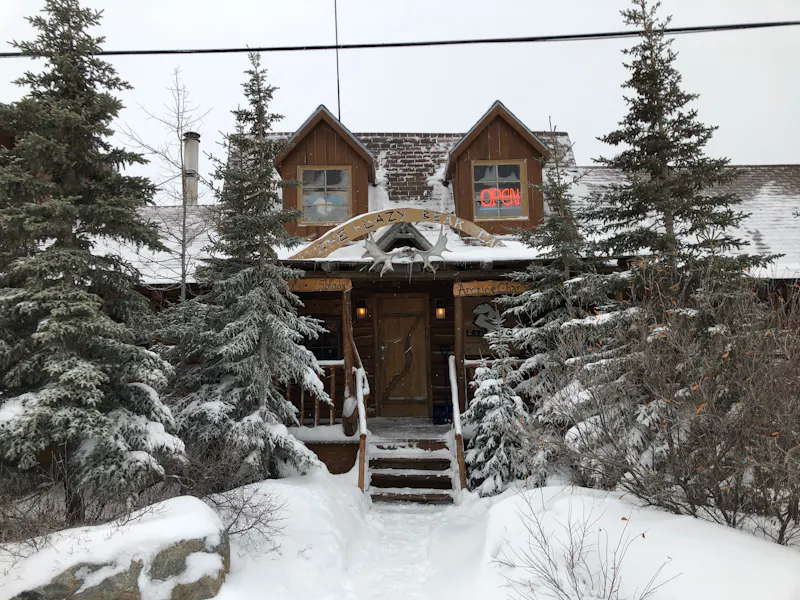 HDManitobaLazy BearUltimate Polar Bear Adventure HerbstLodge