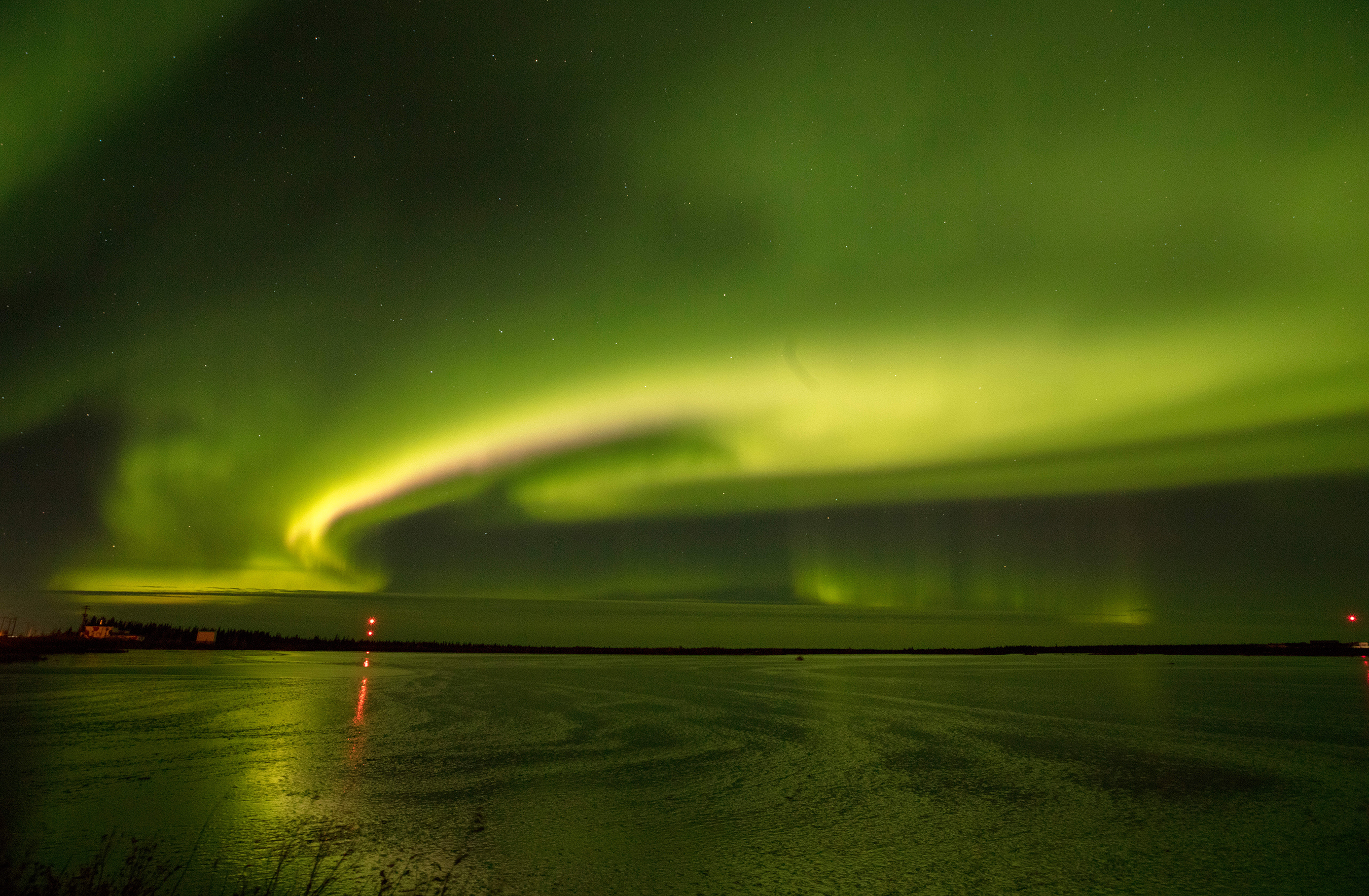 HDManitobaLazy BearUltimate Polar Bear Adventure HerbstNorthernLights