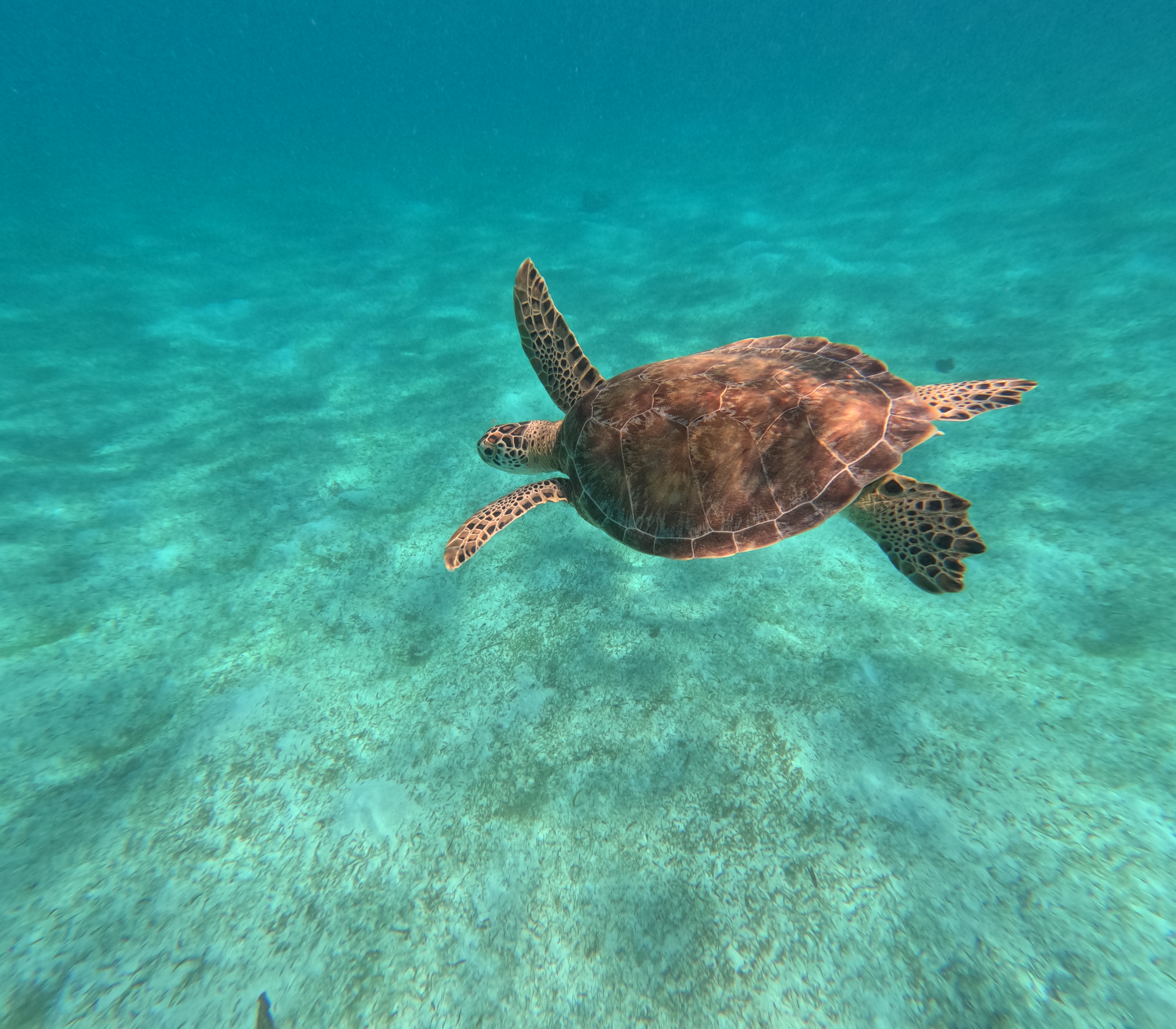 HDEmerald CruisesDestinationsGOPR0152