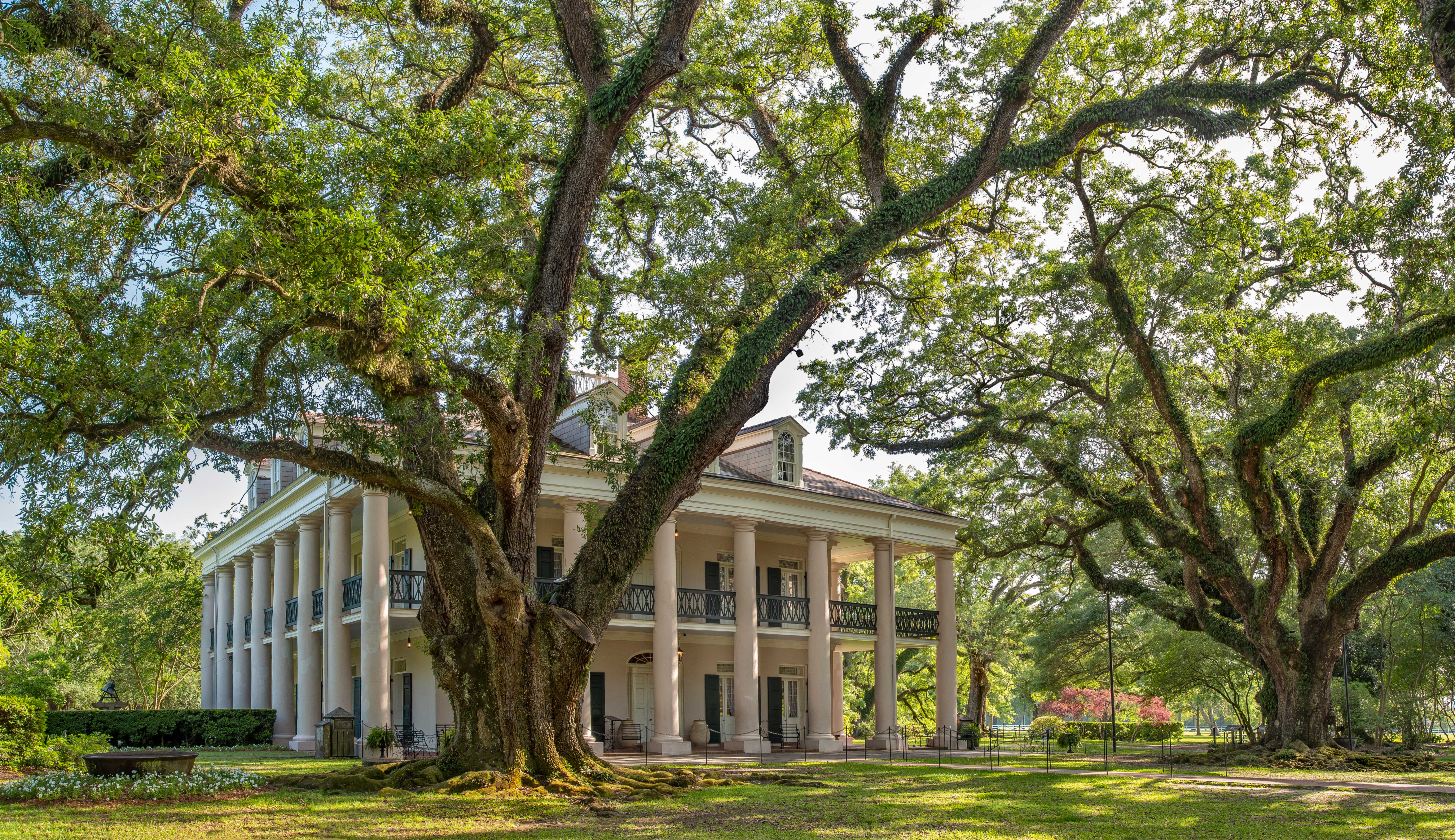 HDLouisianaOakAlleyPlantation4