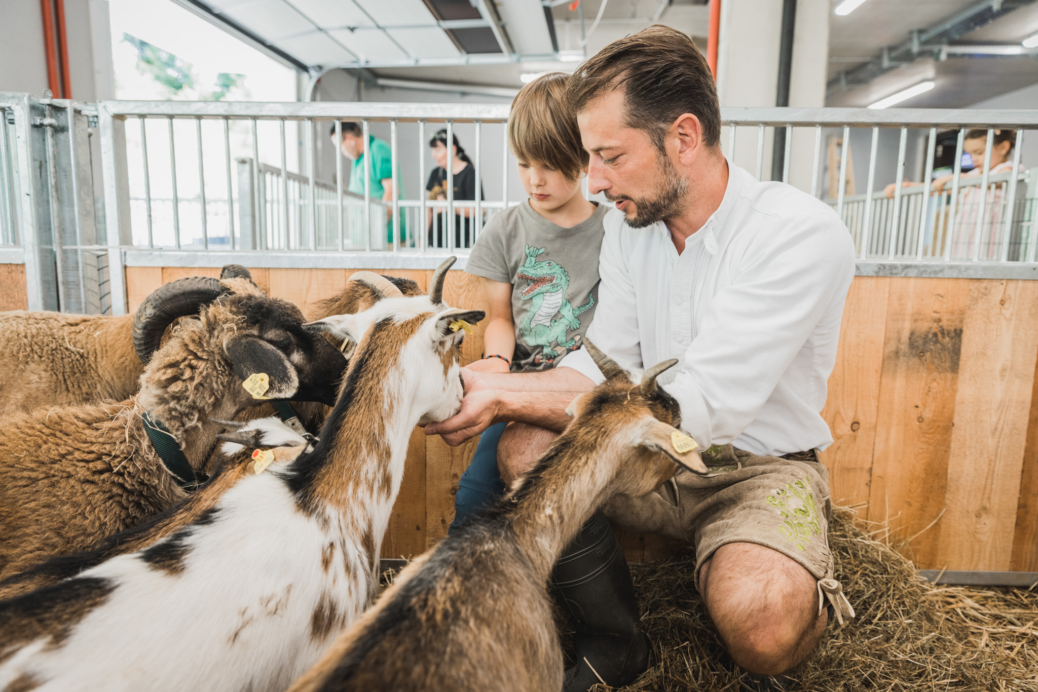 HDHotelOesterreichKlosterbraeuklosterbraeu sigis sauhaufen ziege