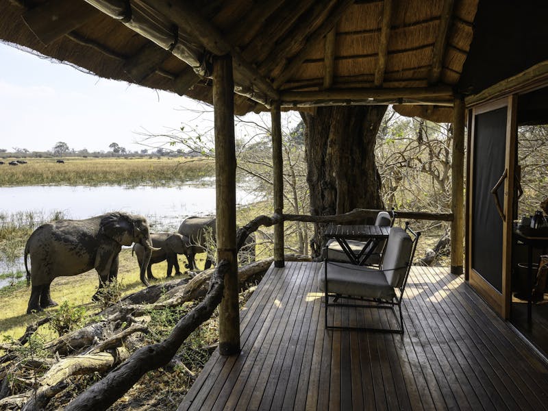 HDHotelBotswanaWilderness SavutiZimmer Elefant