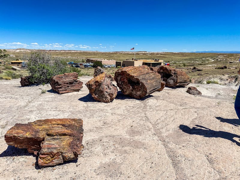 HDArizonaHolbrookPetrified forest