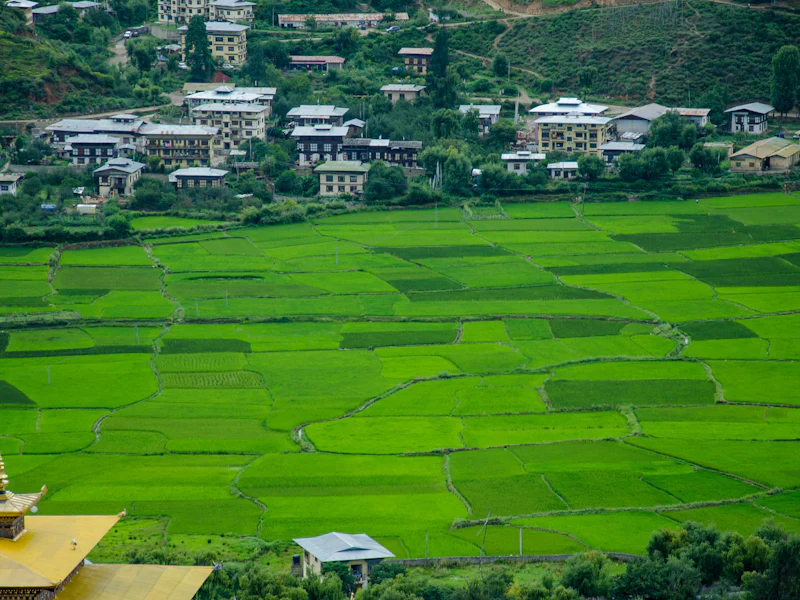 HDBhutanParoView of farmland and town Paro