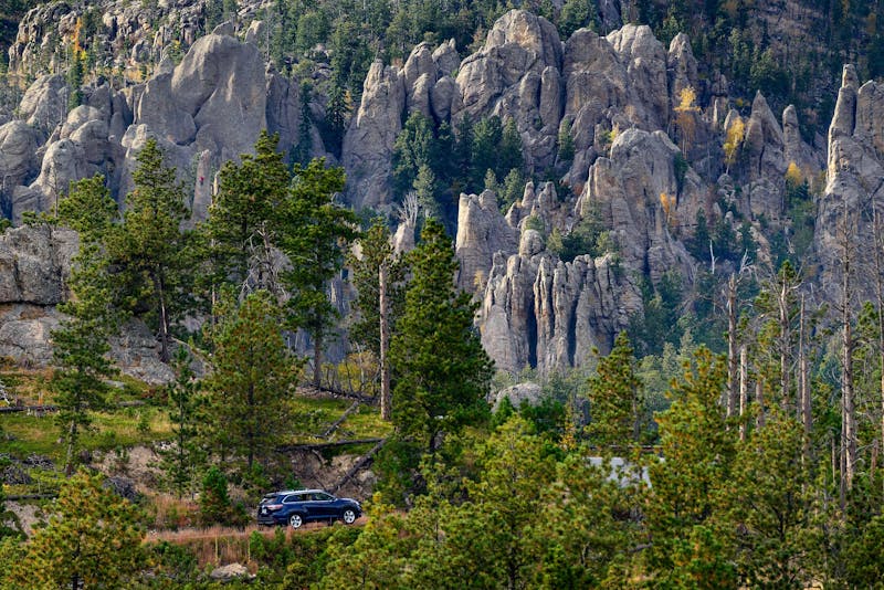 HDSouth DakotaCuster State ParkNeedlesHighway