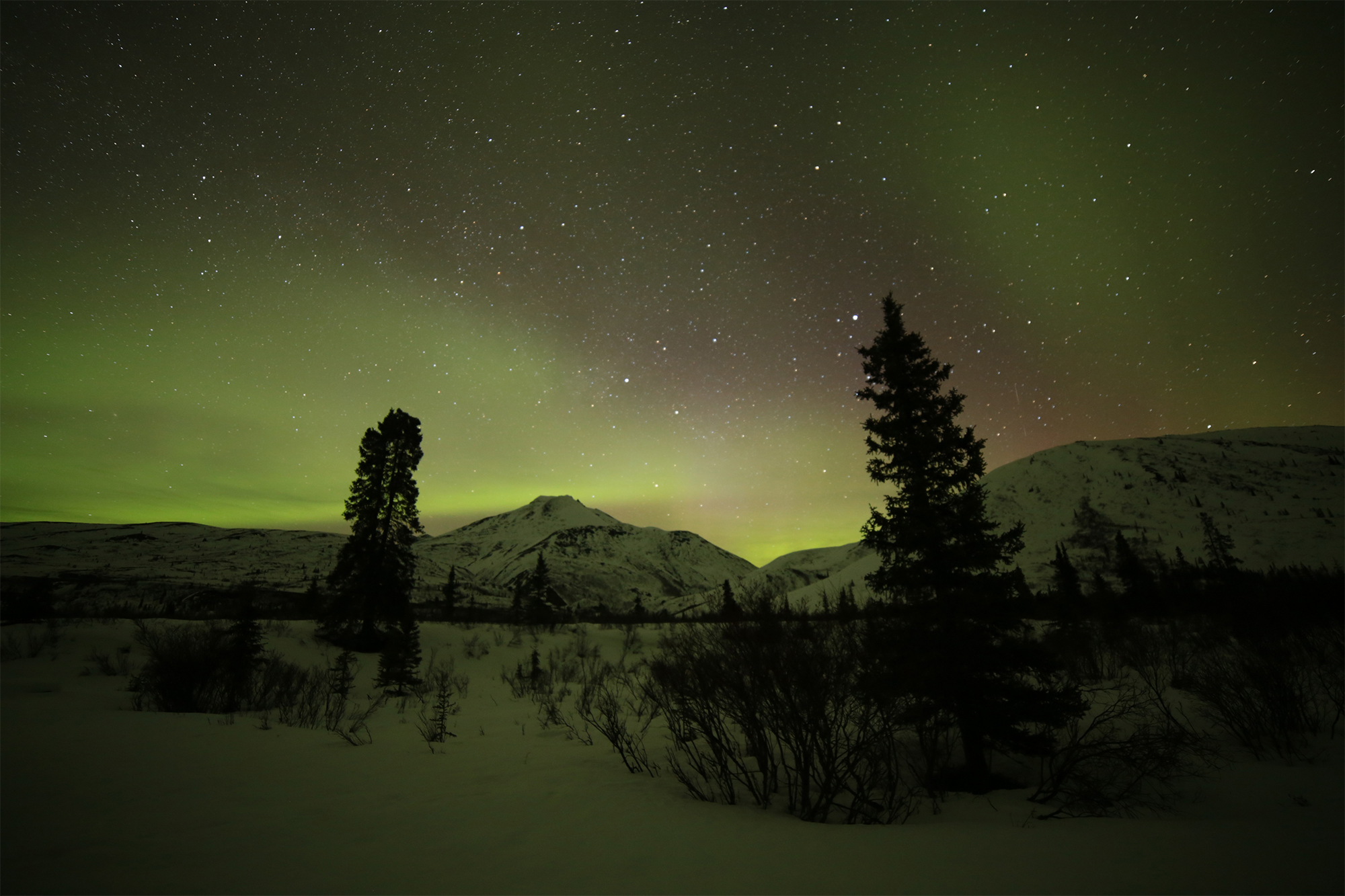 Nordlichter, Yukon