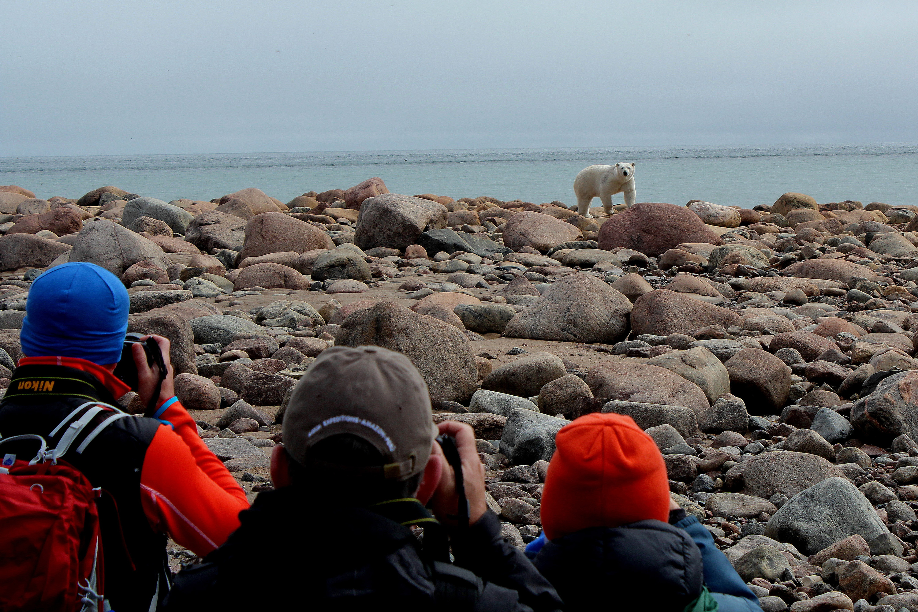 HDManitobaChurchill WildBBB Seal River14