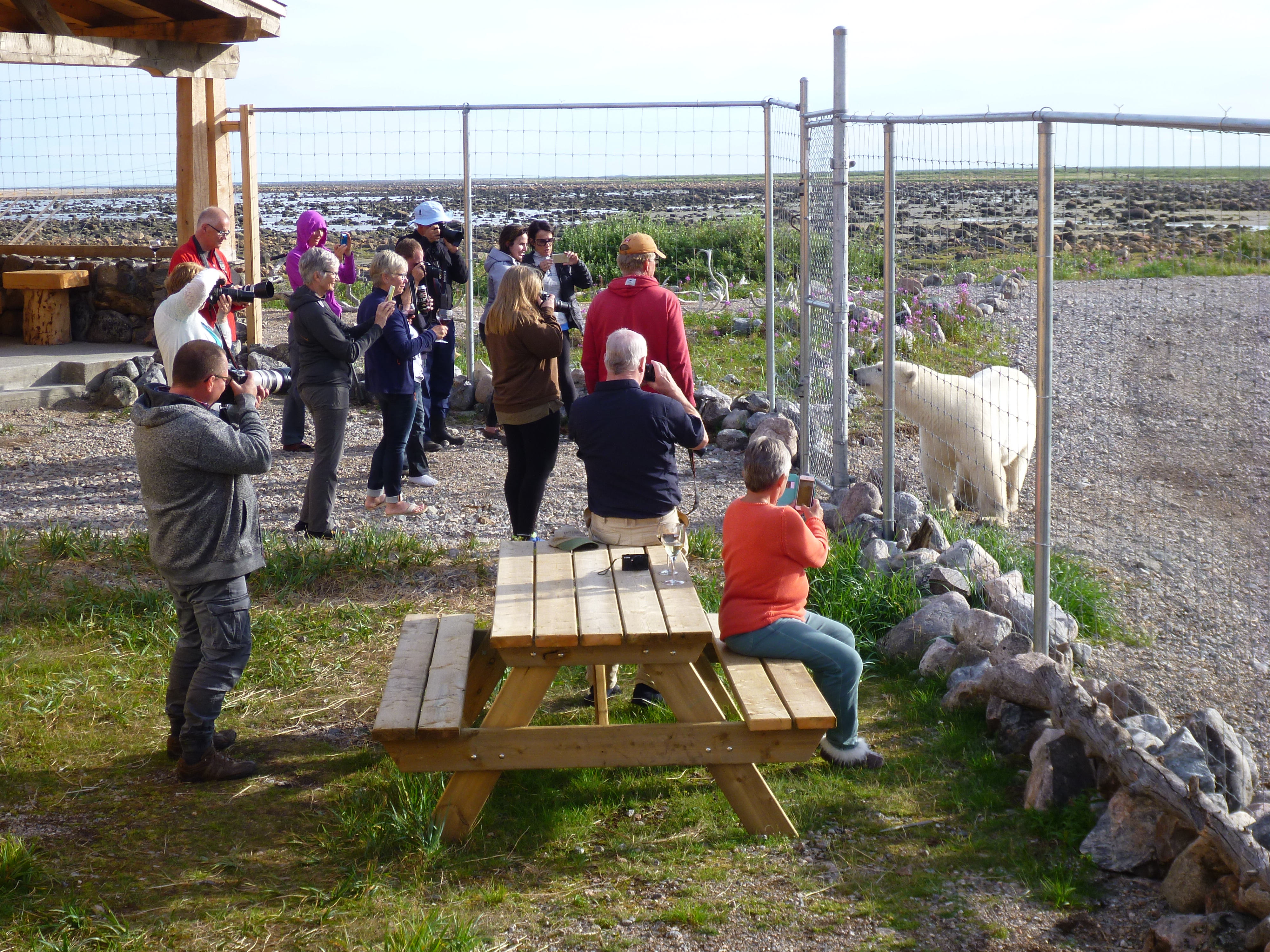 HDManitobaChurchill WildBBB Seal River19