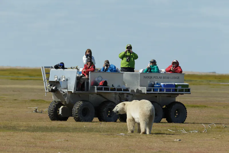 HDManitobaChurchill WildHudson Bay Odyssey Nanuk Lodgephoto by Chas Glatzer