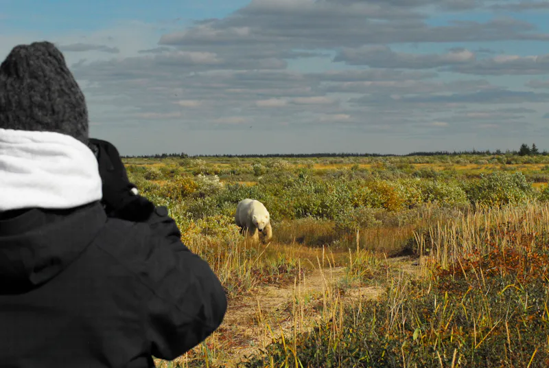 HDManitobaChurchill WildHudson Bay Odyssey Nanuk Lodgephoto by Doreen Booth