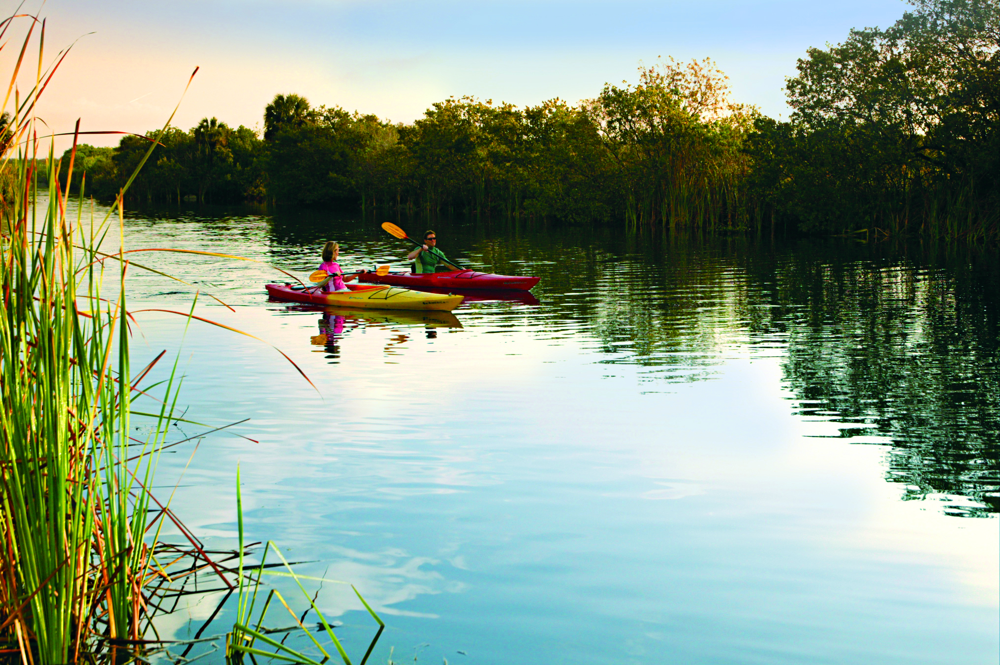 HDFloridaEverglades Nationalpark0Everglades Kajak