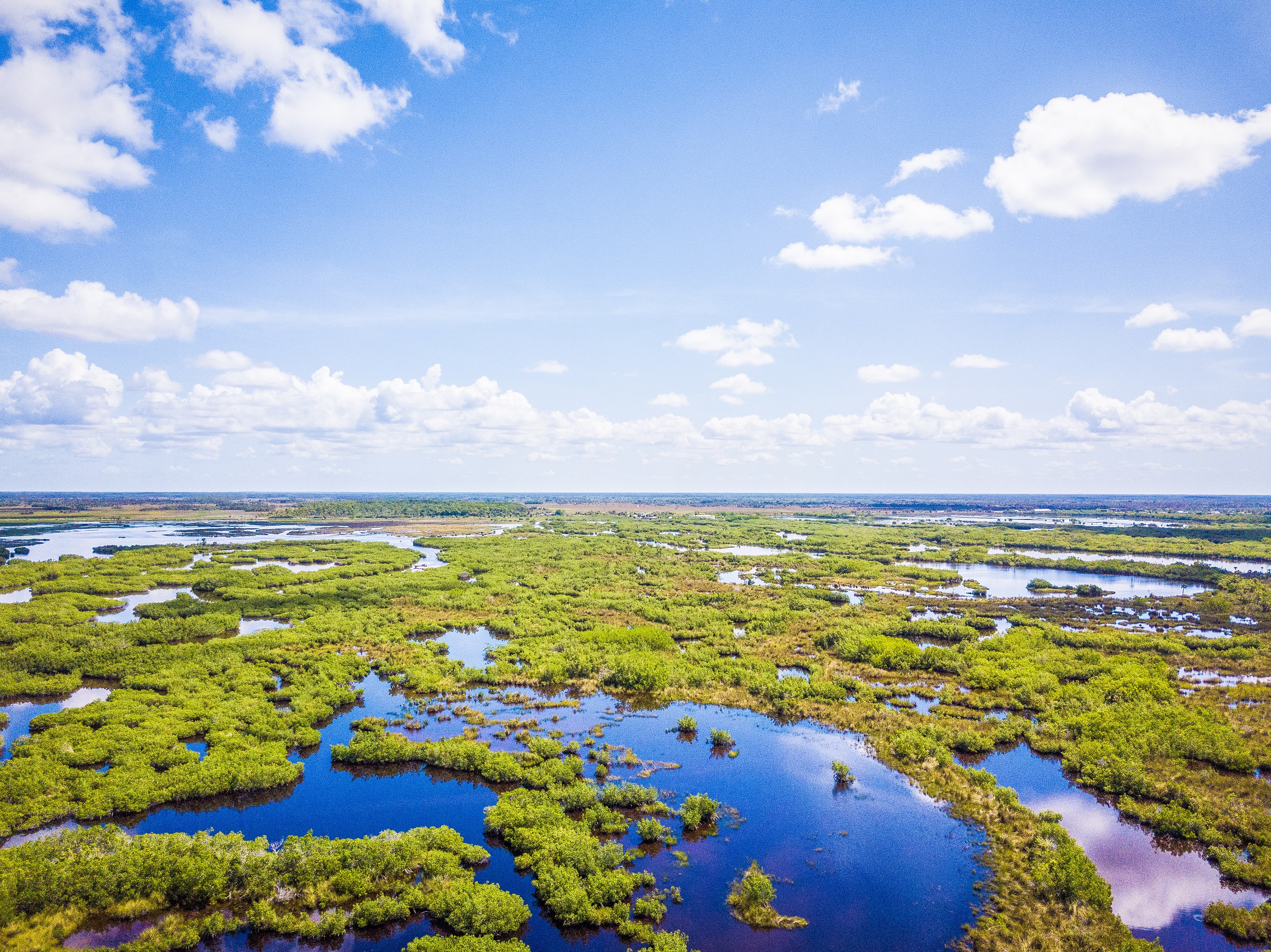 HDFloridaNaples0Everglades Eindruck aus der Luft