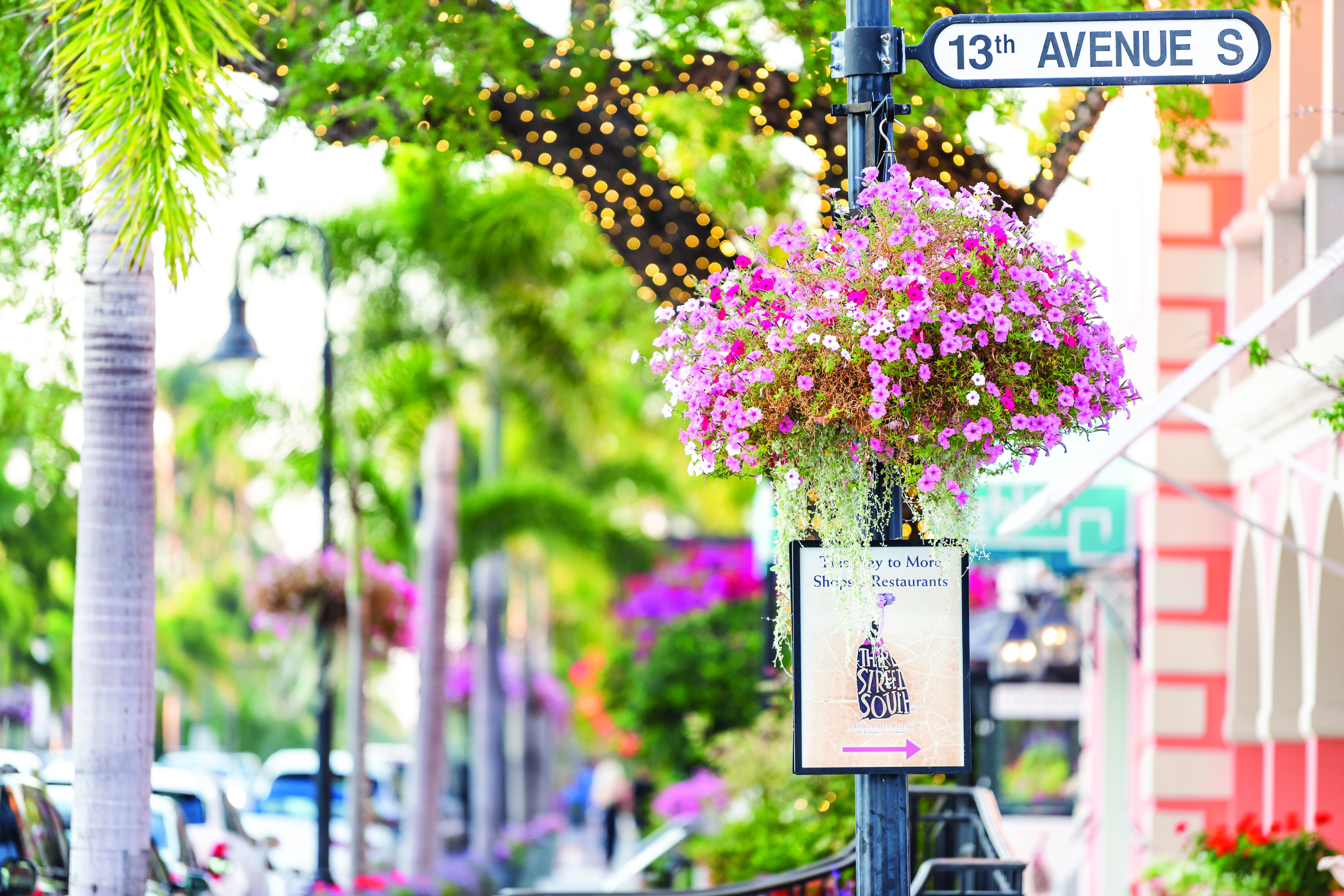 HDFloridaNaples0Naples blumige Innenstadt