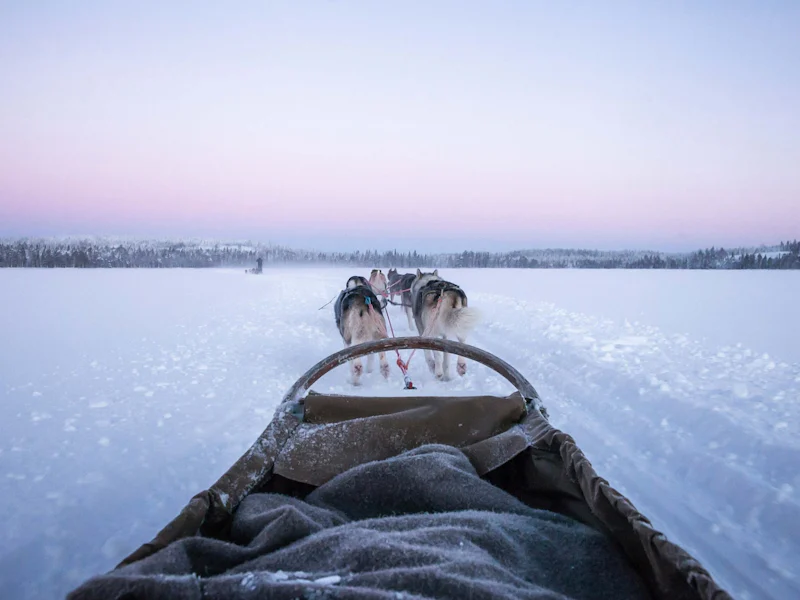 HDHotelFinnlandOctolaExperiencesSchlittenhunde